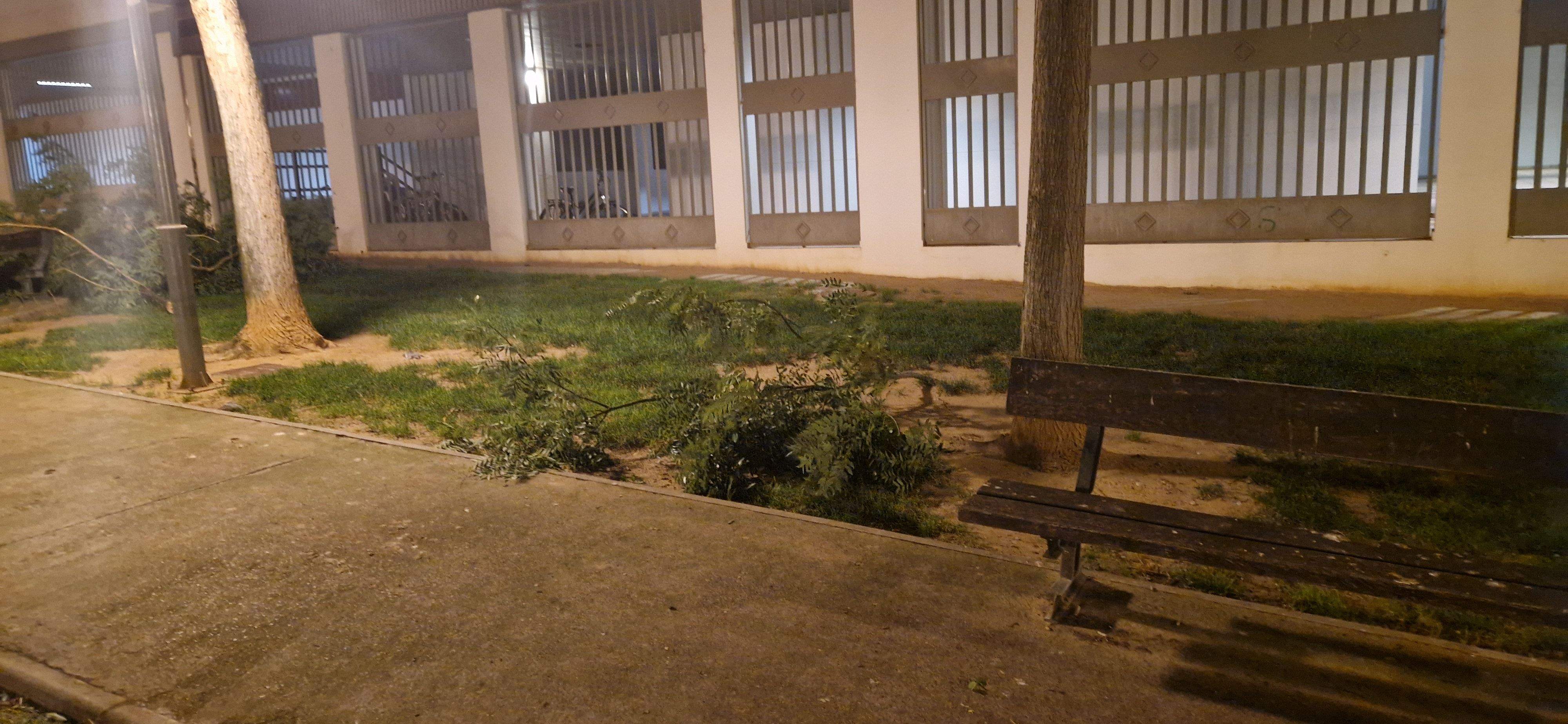 Consecuencias del fuerte viento que ha soplado en Huesca. Foto Myriam Martínez