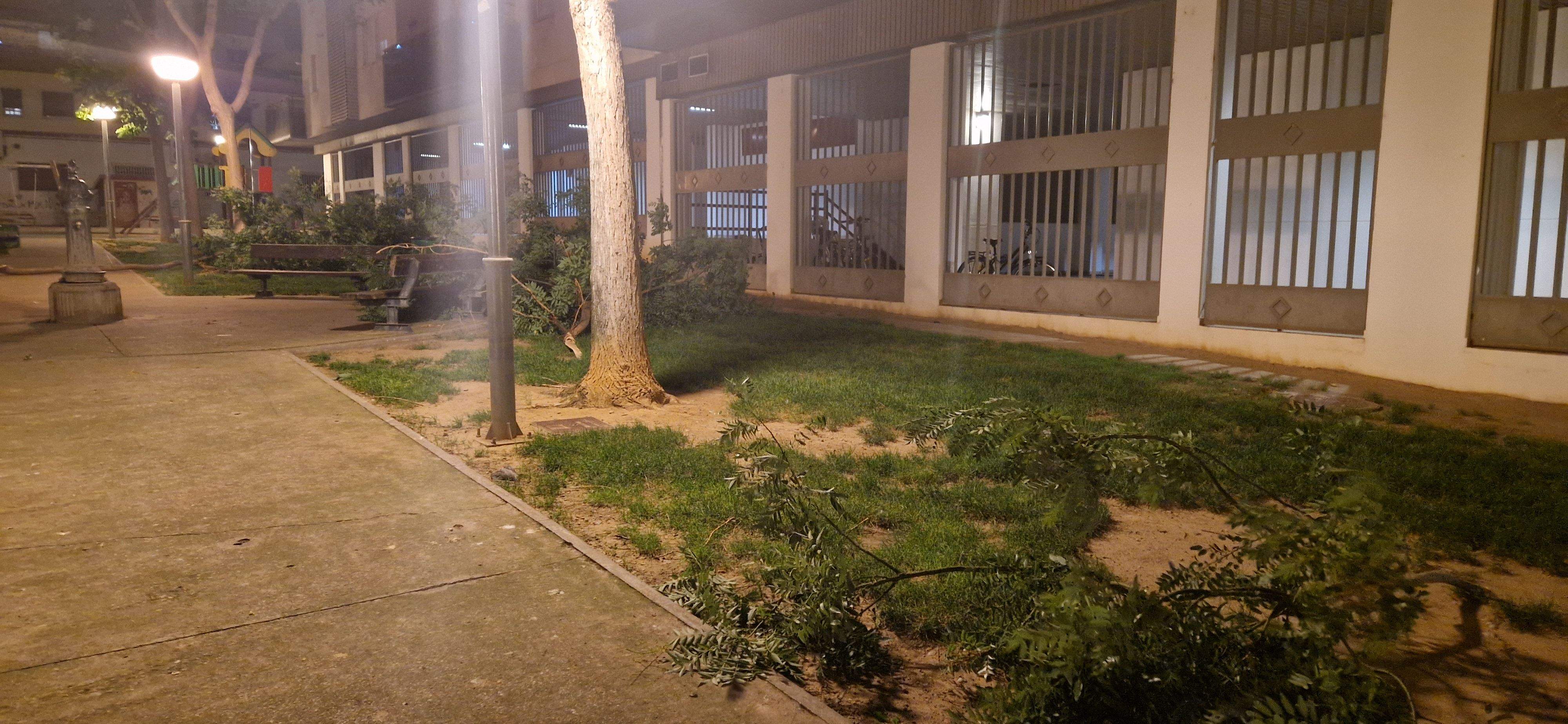 Consecuencias del fuerte viento que ha soplado en Huesca. Foto Myriam Martínez