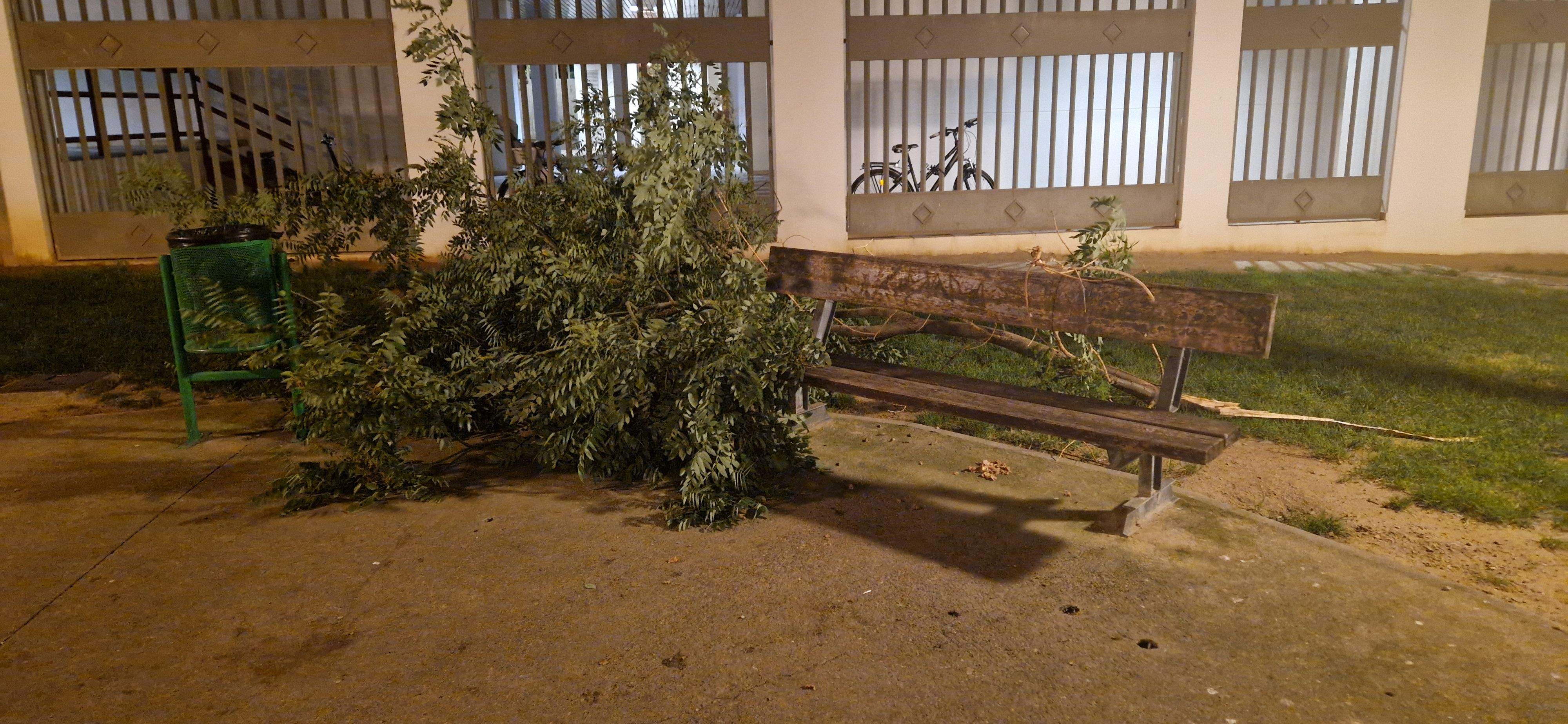 Consecuencias del fuerte viento que ha soplado en Huesca. Foto Myriam Martínez