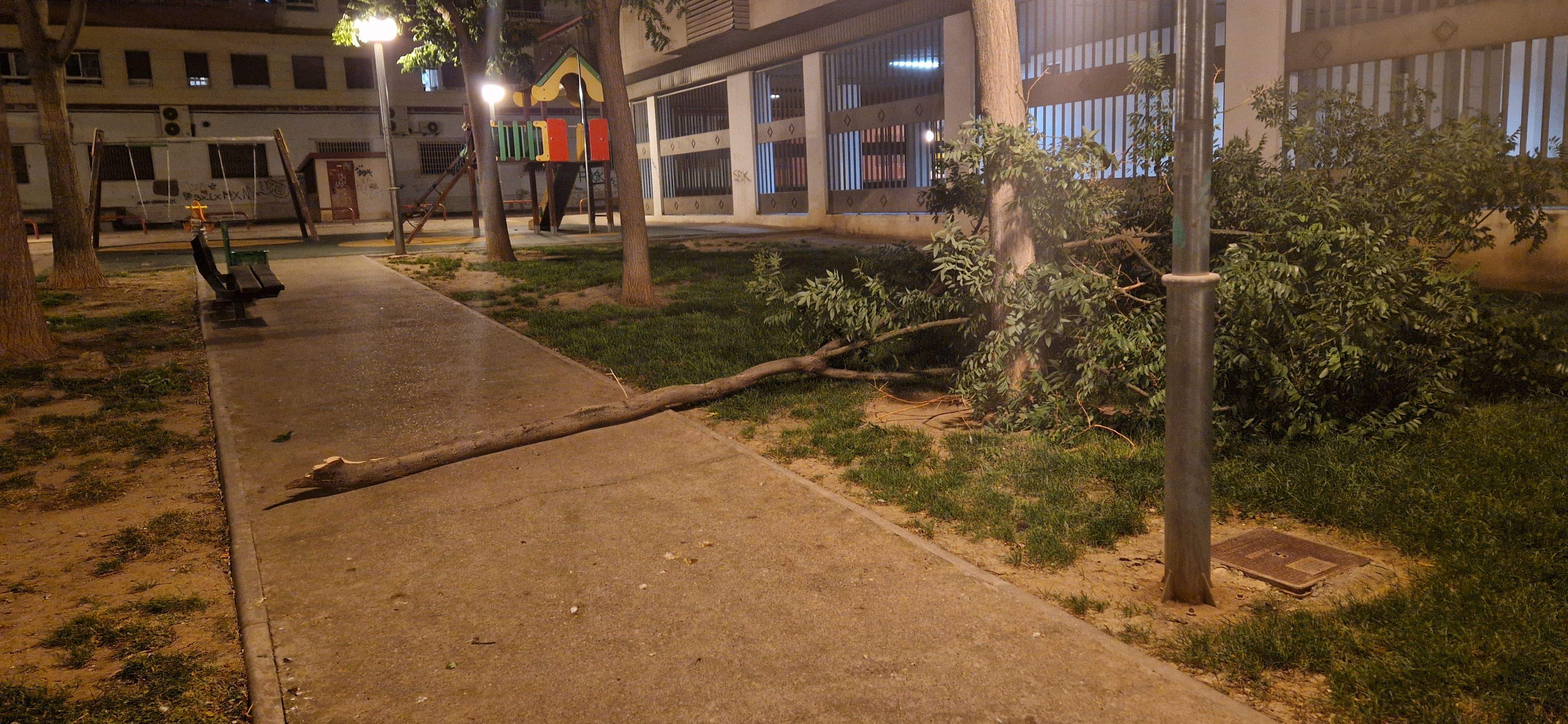 Consecuencias del fuerte viento que ha soplado en Huesca. Foto Myriam Martínez