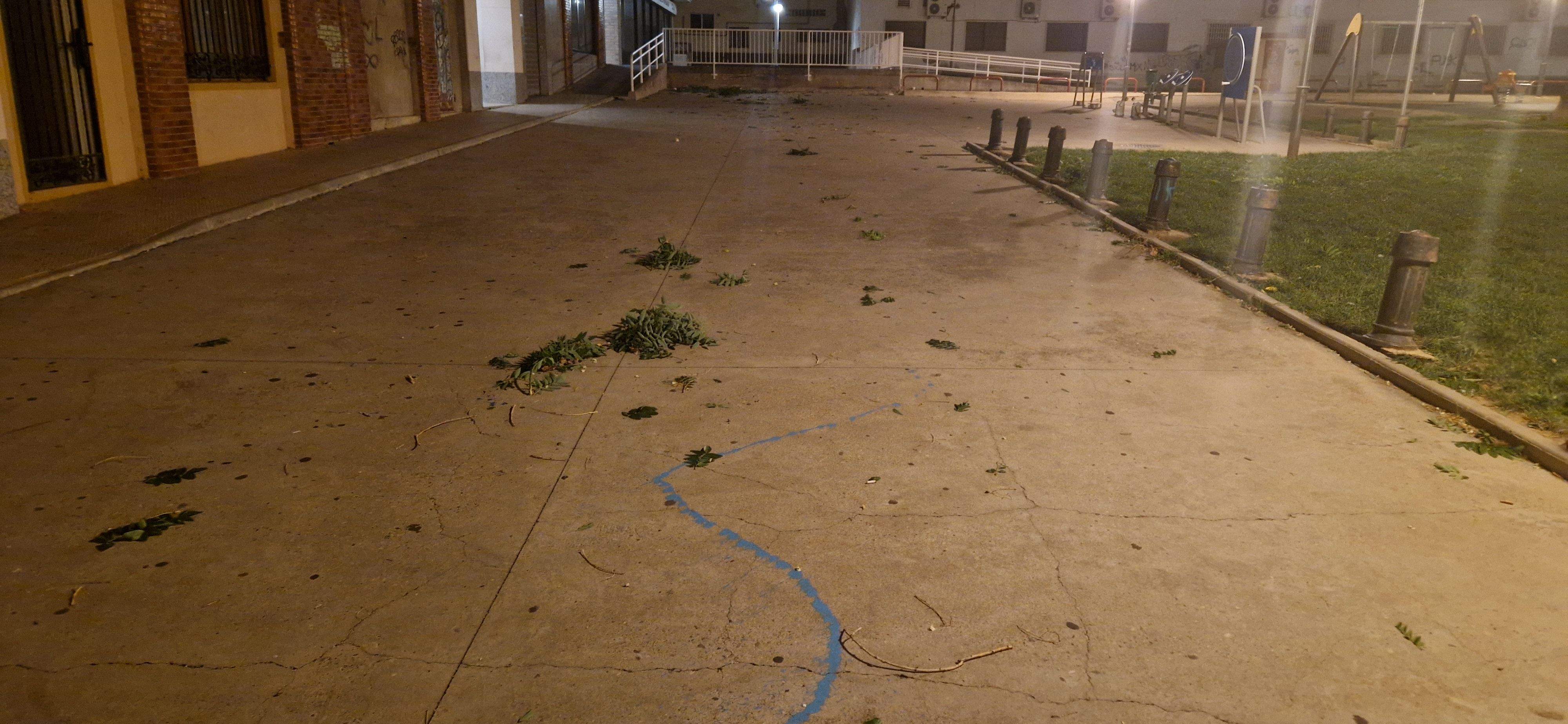 Consecuencias del fuerte viento que ha soplado en Huesca. Foto Myriam Martínez