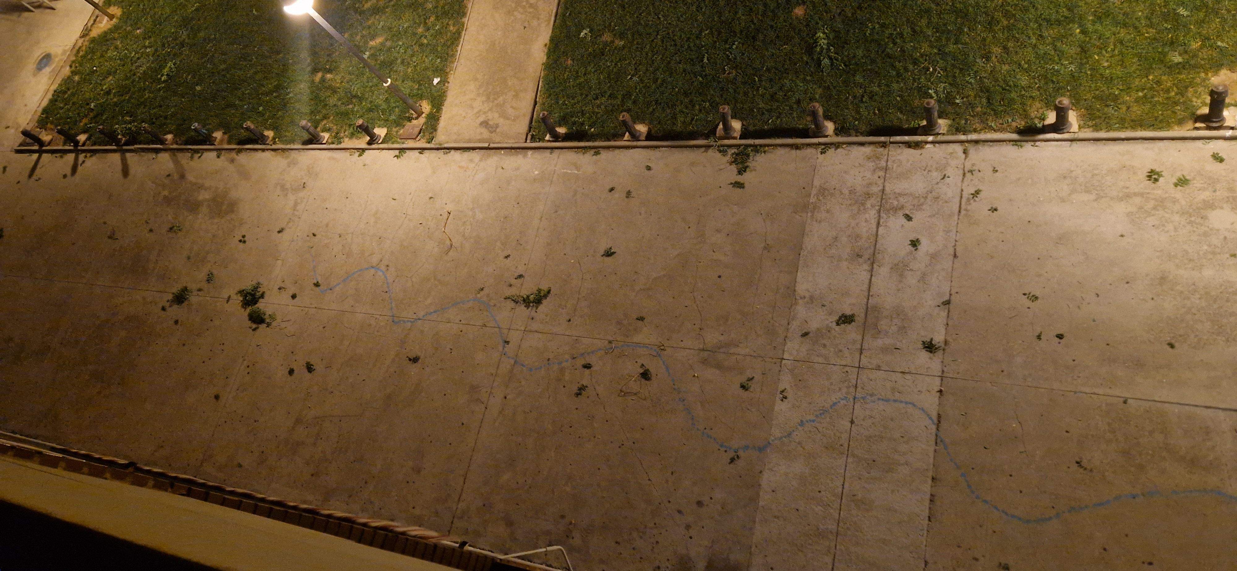 Consecuencias del fuerte viento que ha soplado en Huesca. Foto Myriam Martínez