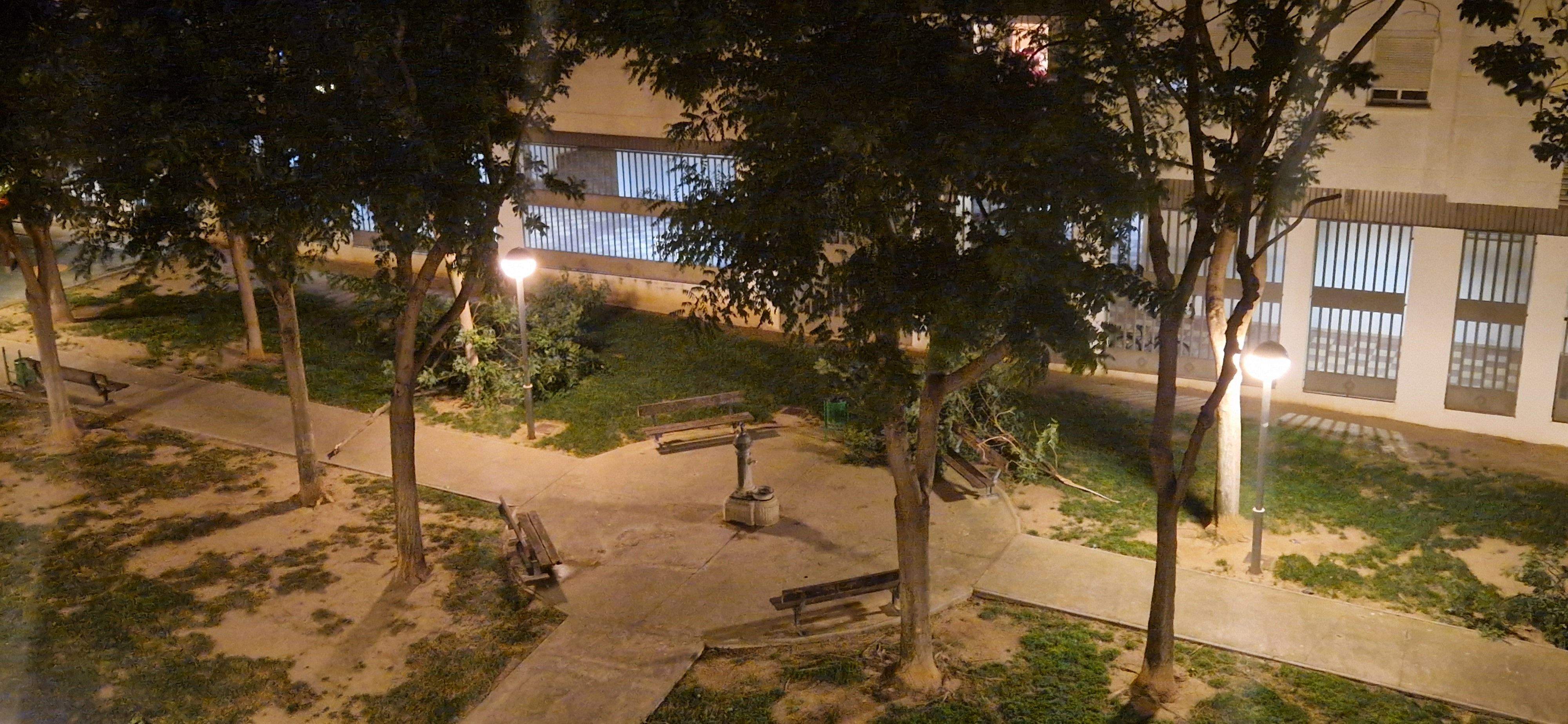 Consecuencias del fuerte viento que ha soplado en Huesca. Foto Myriam Martínez