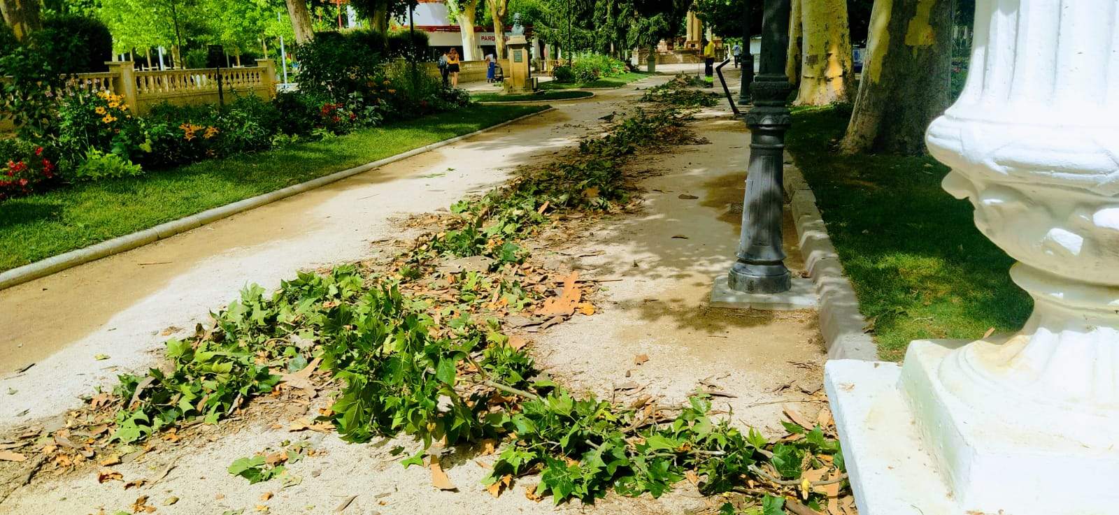 Parque Miguel Servet. Foto Joaquín Santafé
