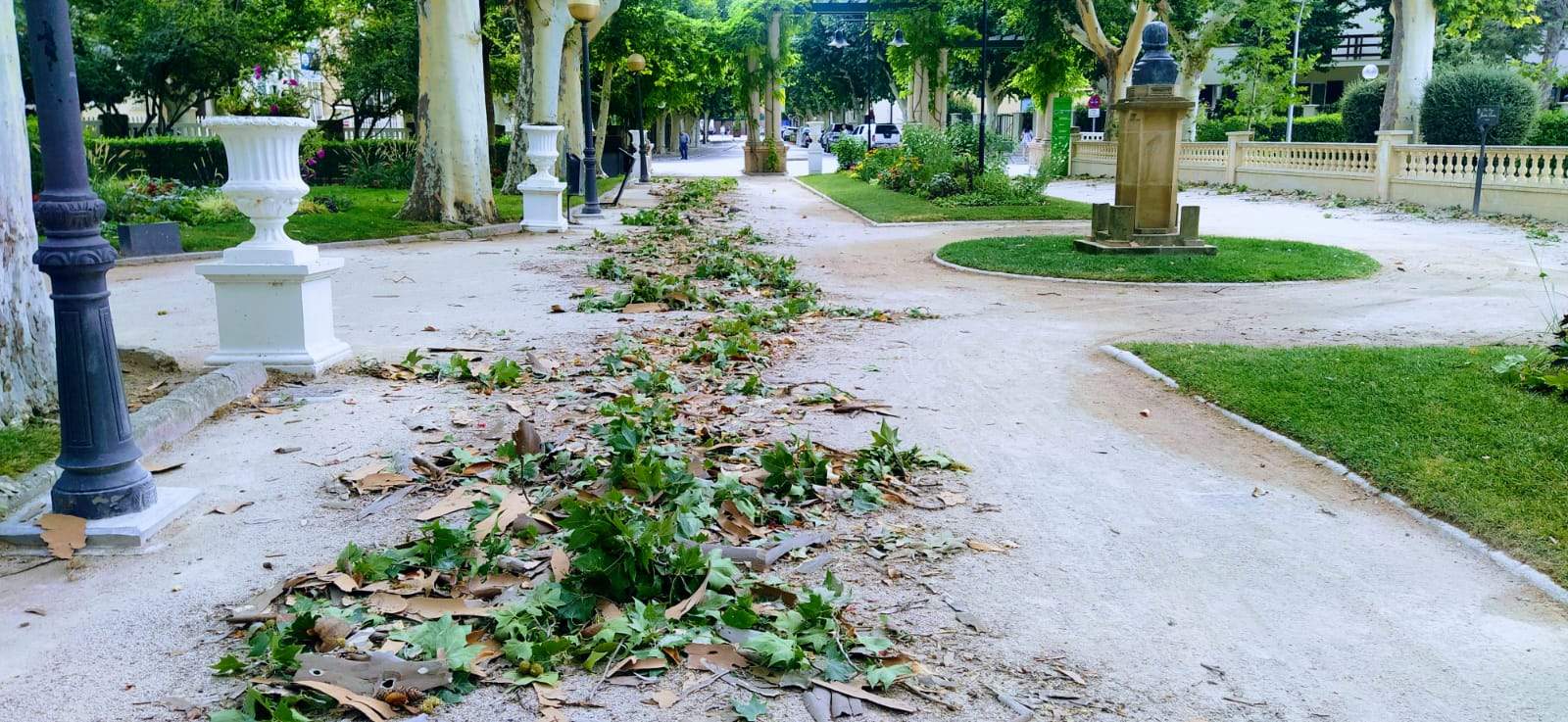 Parque Miguel Servet. Foto Joaquín Santafé