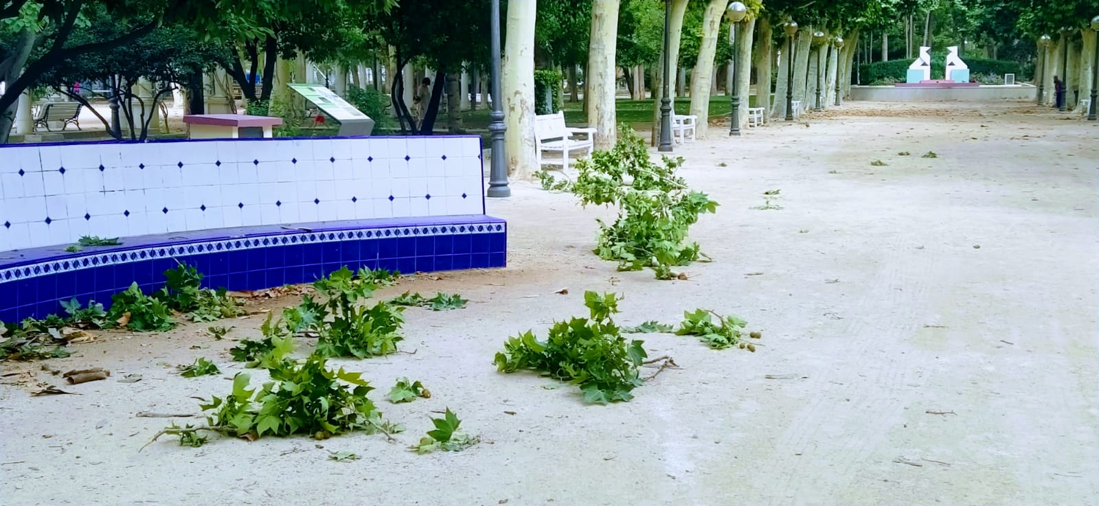 Parque Miguel Servet. Foto Joaquín Santafé