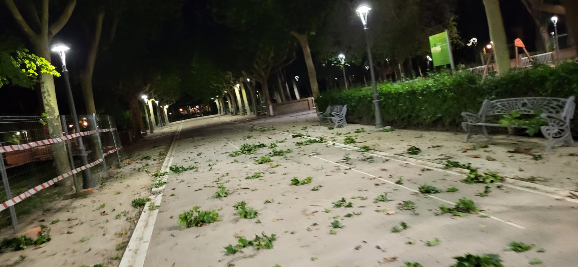 Parque Miguel Servet. Foto Joaquín Santafé