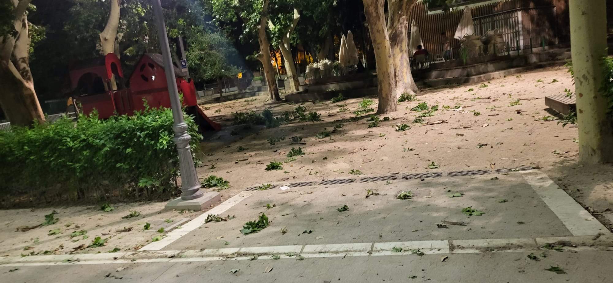 Parque Miguel Servet. Foto Joaquín Santafé