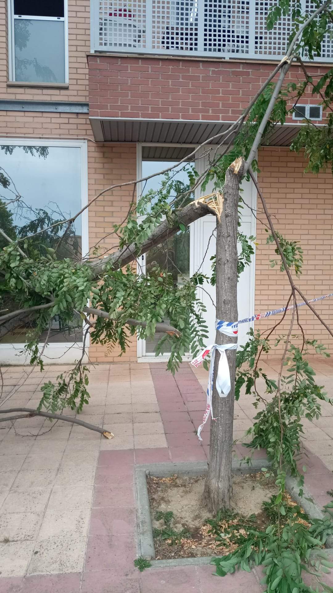 Calle Ana Abarca de Bolea