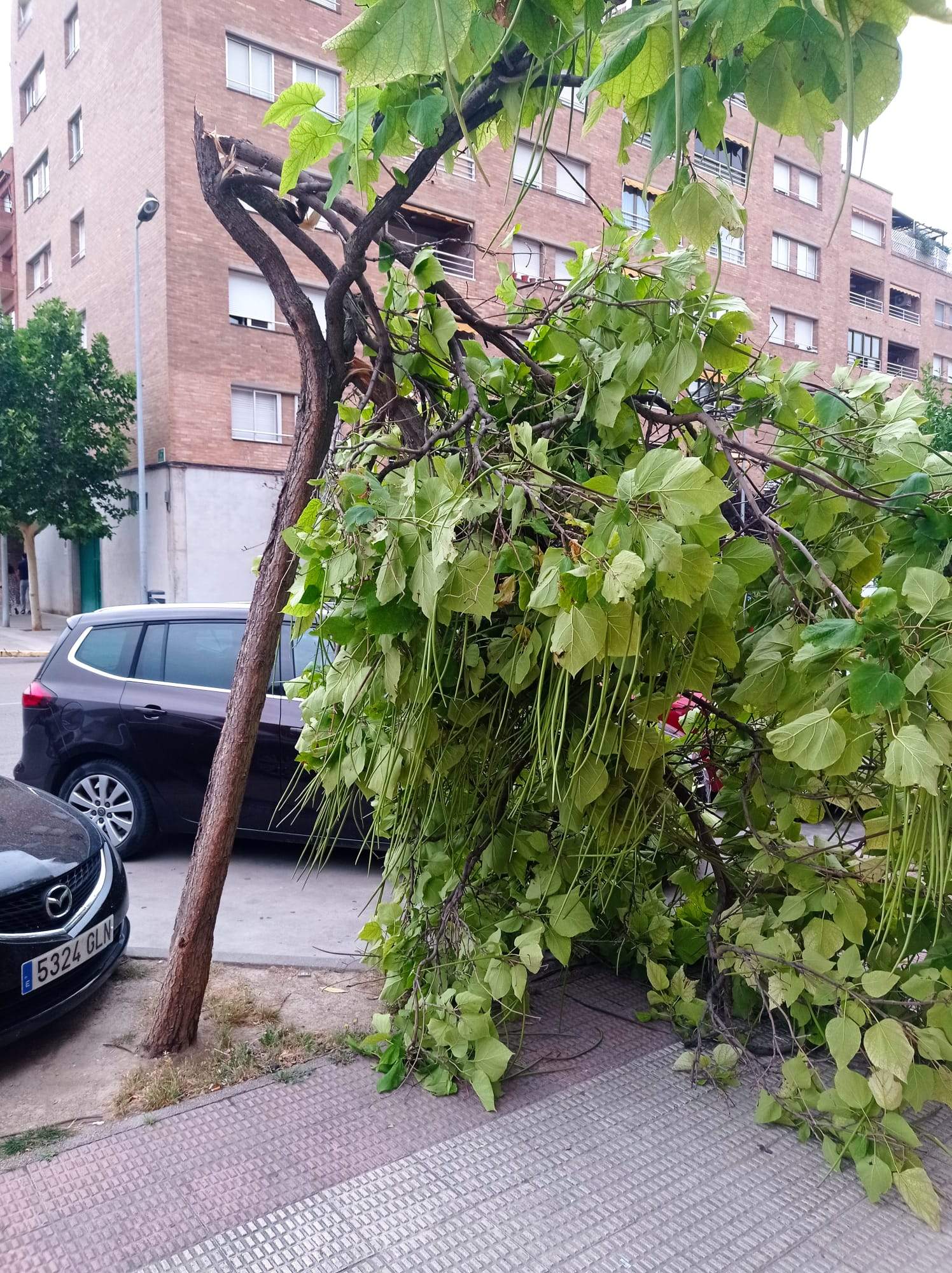 Calle Teruel de Huesca