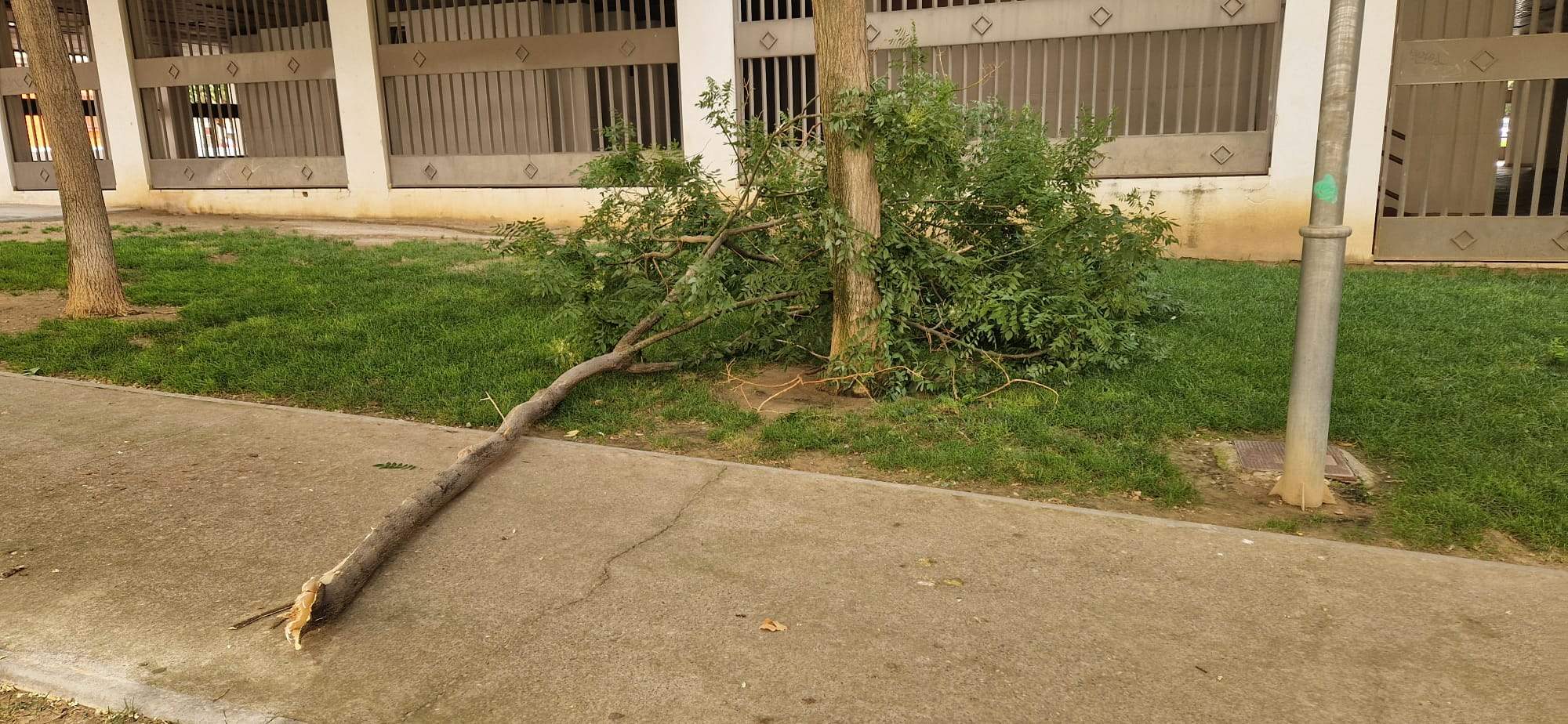 Pasaje Almériz. Foto Myriam Martínez