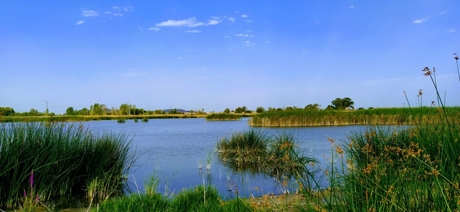 Prácticamente,  sólo hay agua en su núcleo central, al que en este momento se puede acceder, imposible cuando está llena. Foto Joaquín Santafé