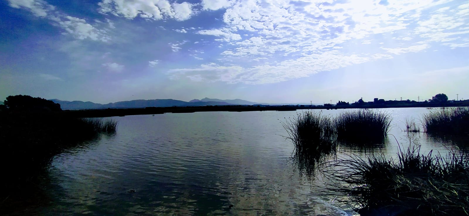 8c0f3a1b 6e39 4f0b 8987 17ed5ec3bfed