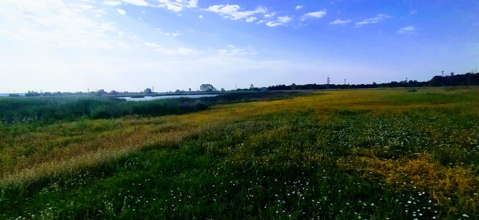Alberca de Loreto. Foto Joaquín Santafé