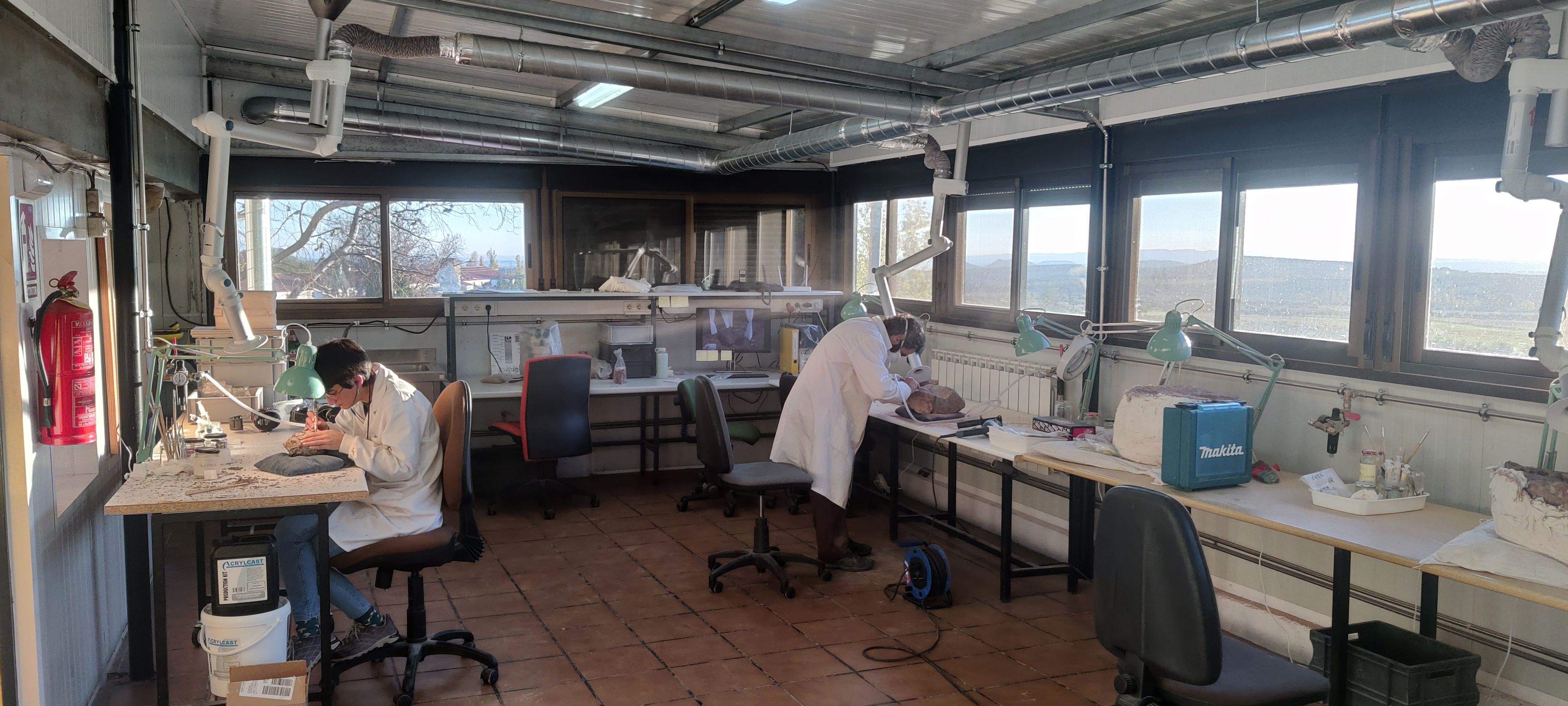 Actividad en el Laboratorio Paleontológico de Loarre. 