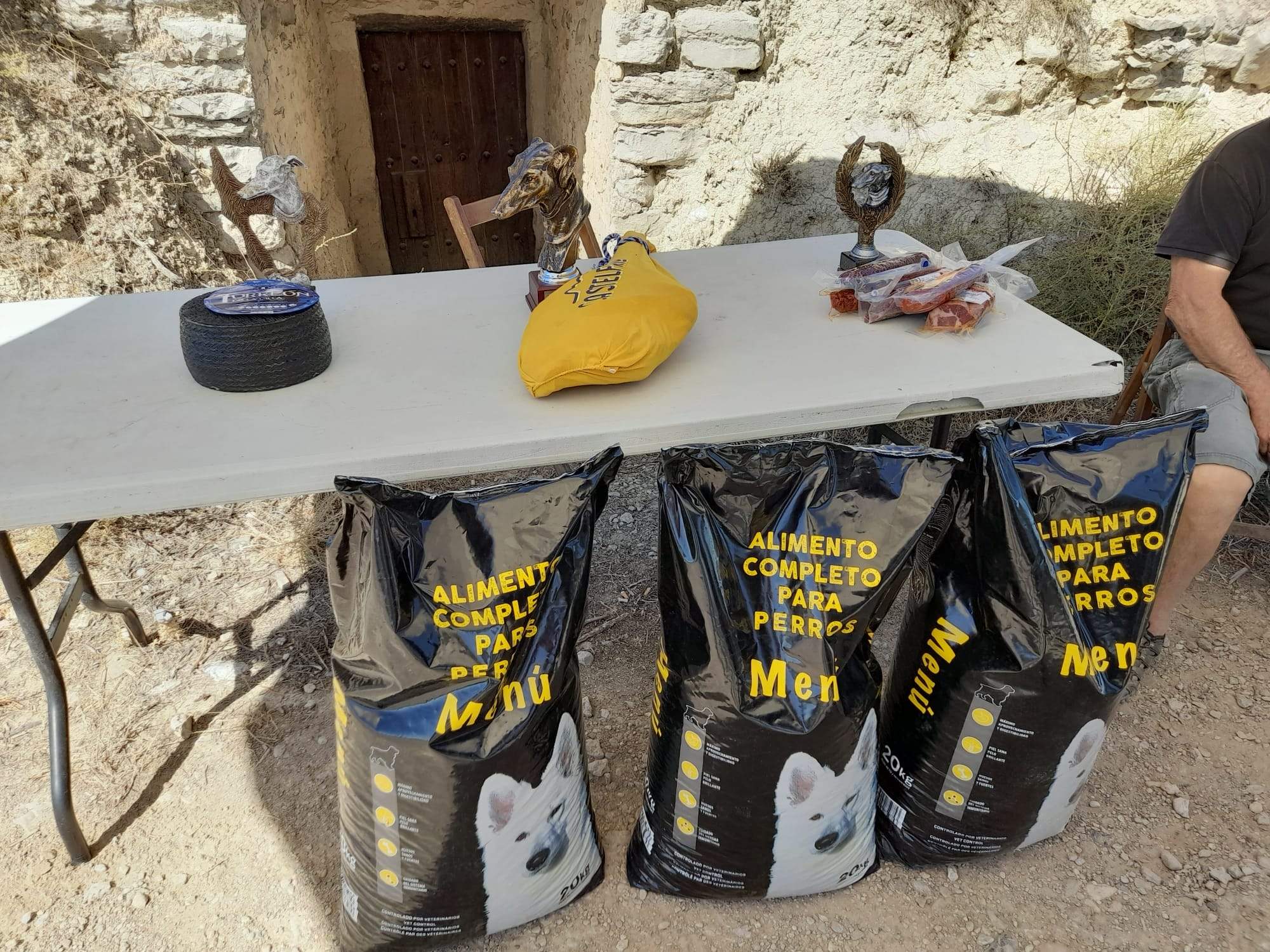 Carrera de galgos en Almudévar 