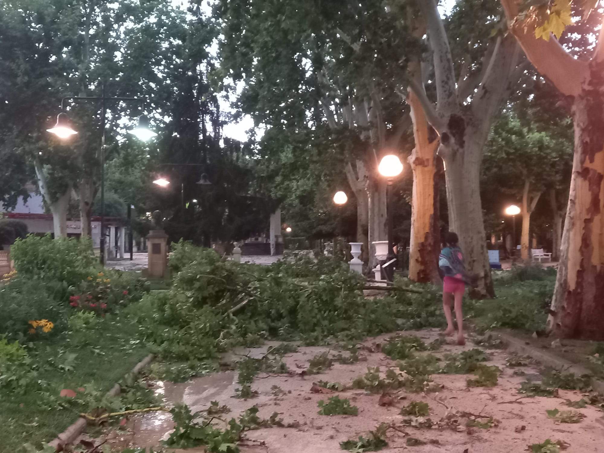 Efectos de la tormenta acompañada de fuerte viento que se ha registrado en Huesca.