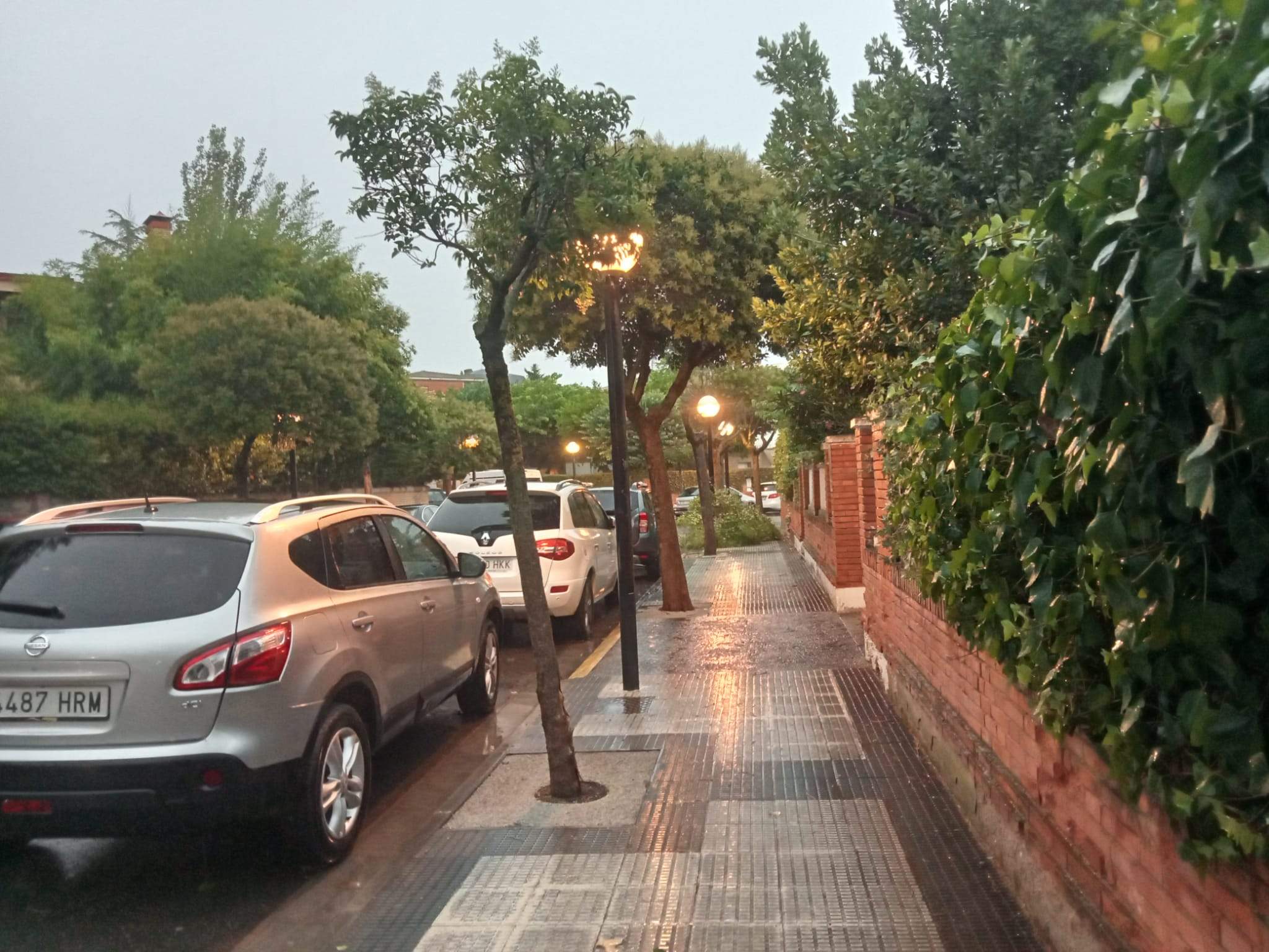 Efectos de la tormenta acompañada de fuerte viento que se ha registrado en Huesca.