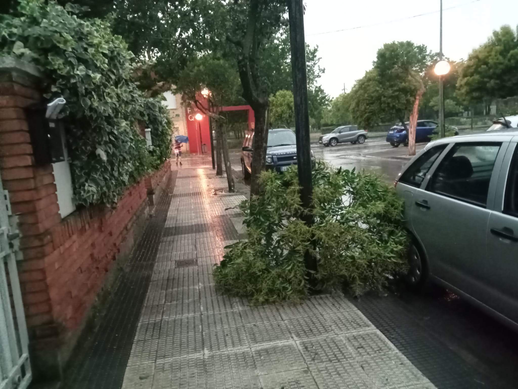 Efectos de la tormenta acompañada de fuerte viento que se ha registrado en Huesca.