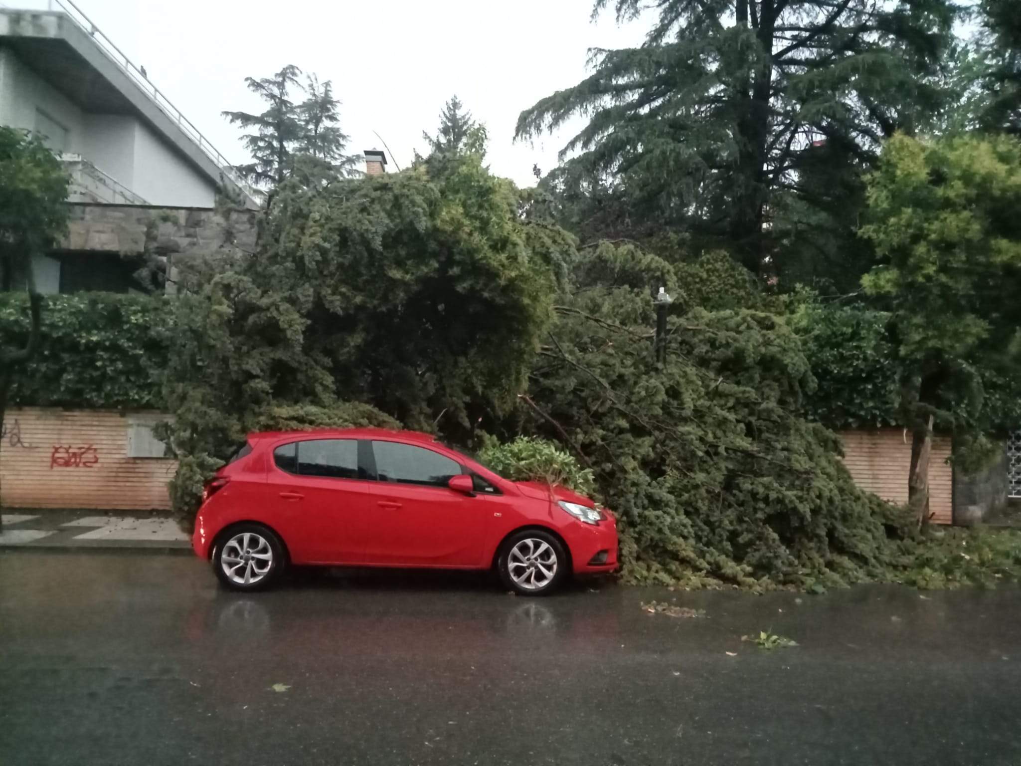 Efectos de la tormenta acompañada de fuerte viento que se ha registrado en Huesca.