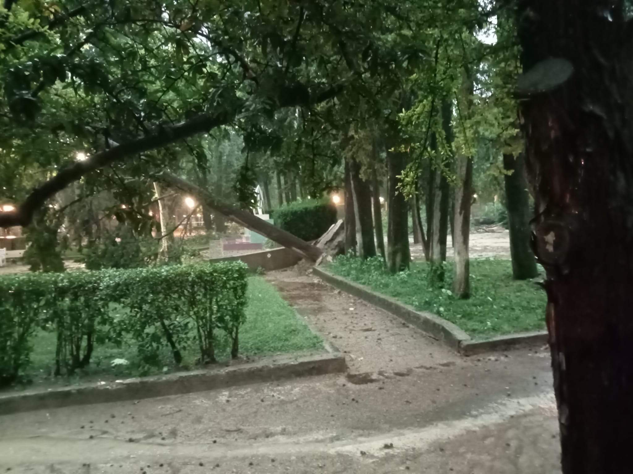 Efectos de la tormenta acompañada de fuerte viento que se ha registrado en Huesca.