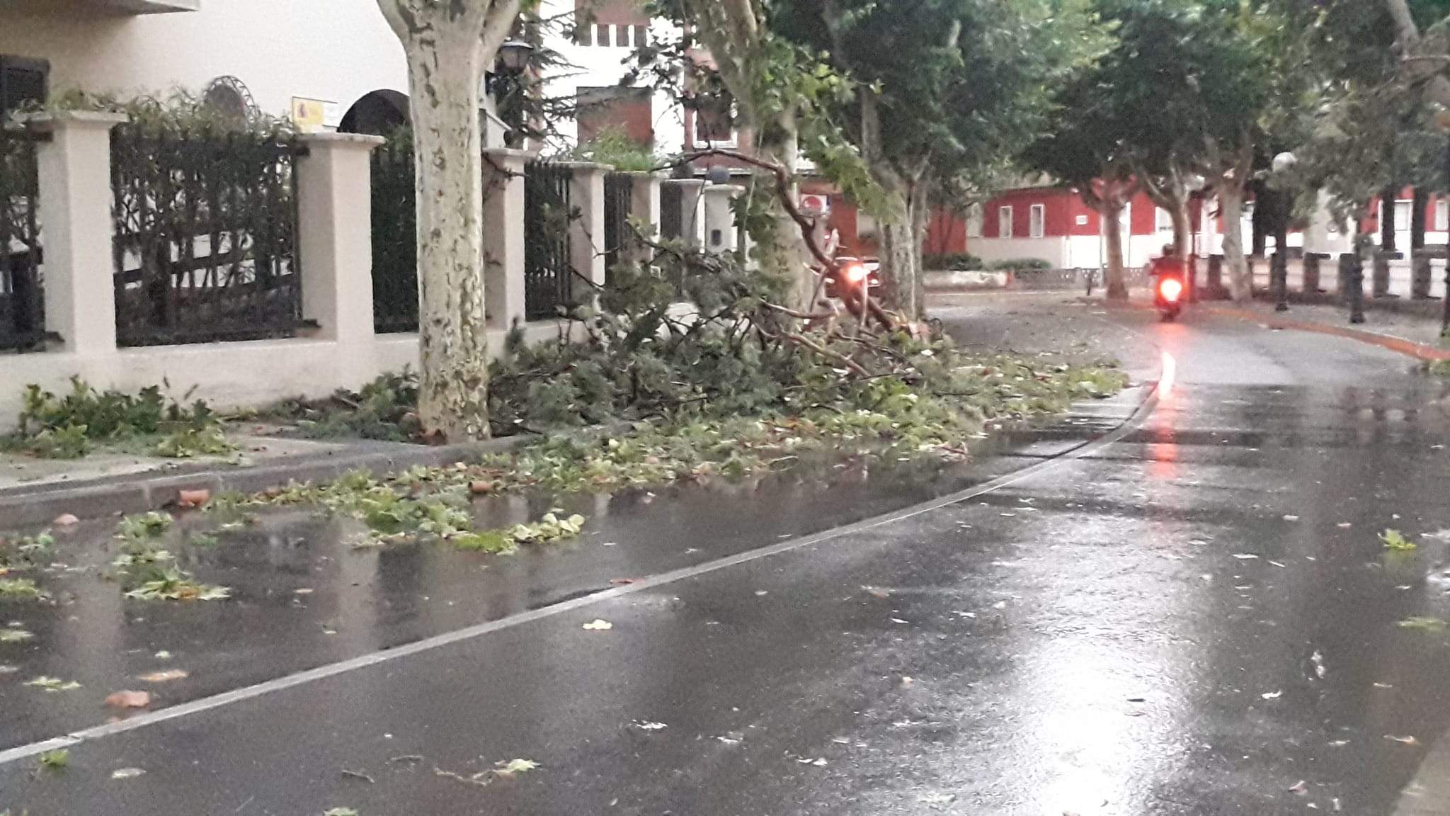 Efectos de la tormenta acompañada de fuerte viento que se ha registrado en Huesca.