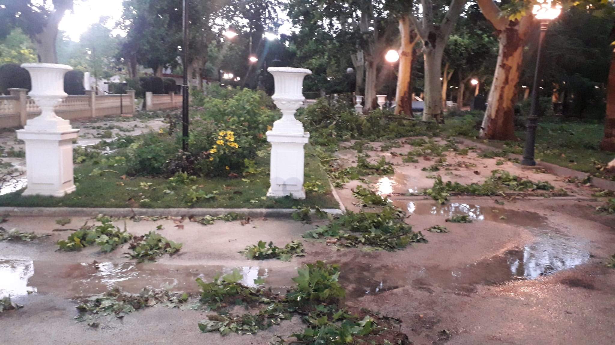 Efectos de la tormenta acompañada de fuerte viento que se ha registrado en Huesca.