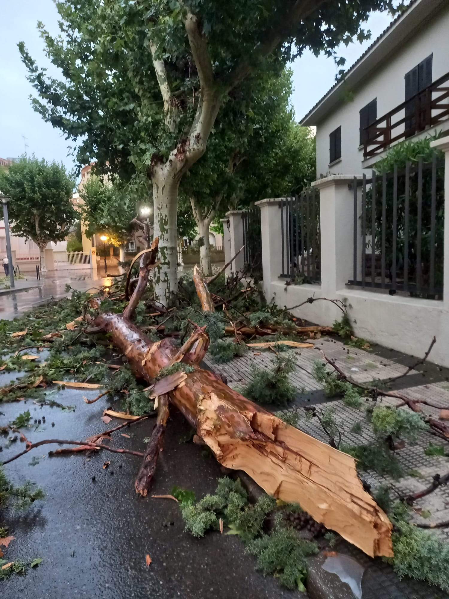 Efectos de la tormenta acompañada de fuerte viento que se ha registrado en Huesca.