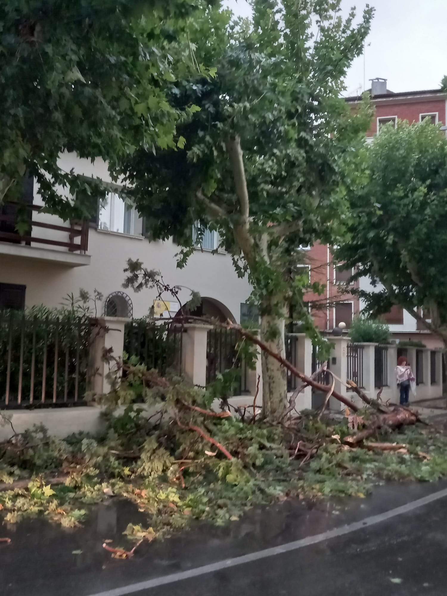 Efectos de la tormenta acompañada de fuerte viento que se ha registrado en Huesca.