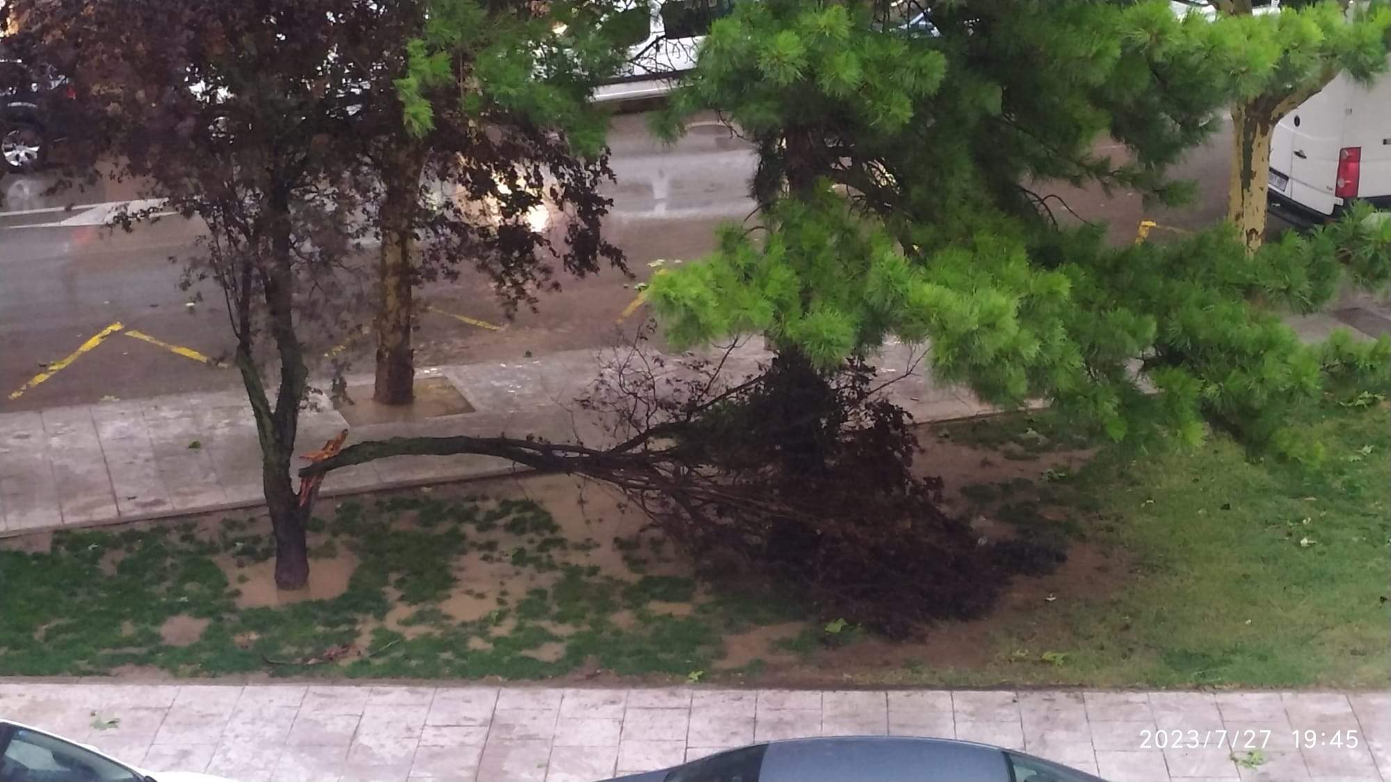 Efectos de la tormenta acompañada de fuerte viento que se ha registrado en Huesca.