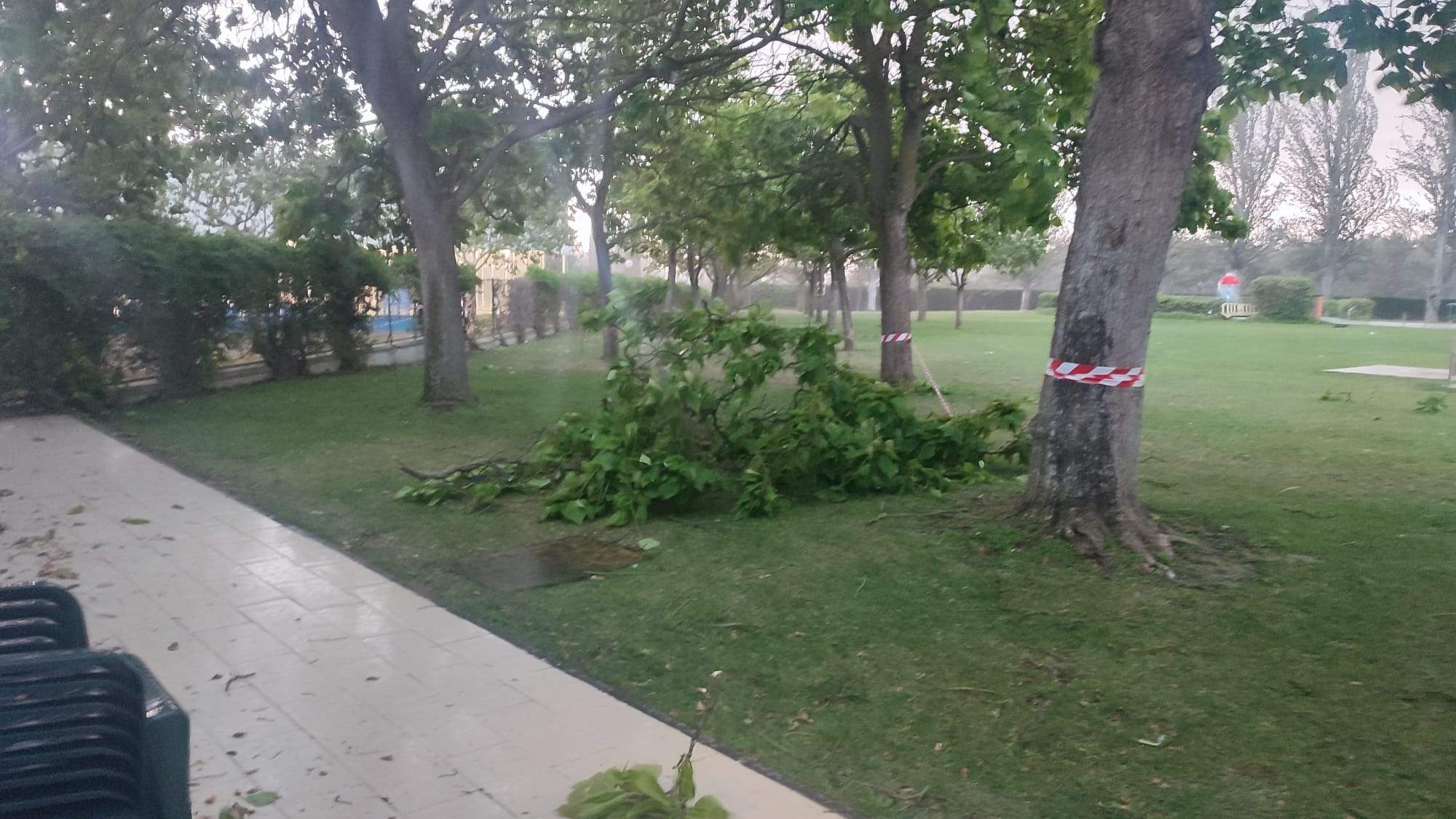 Efectos de la tormenta acompañada de fuerte viento que se ha registrado en Huesca.