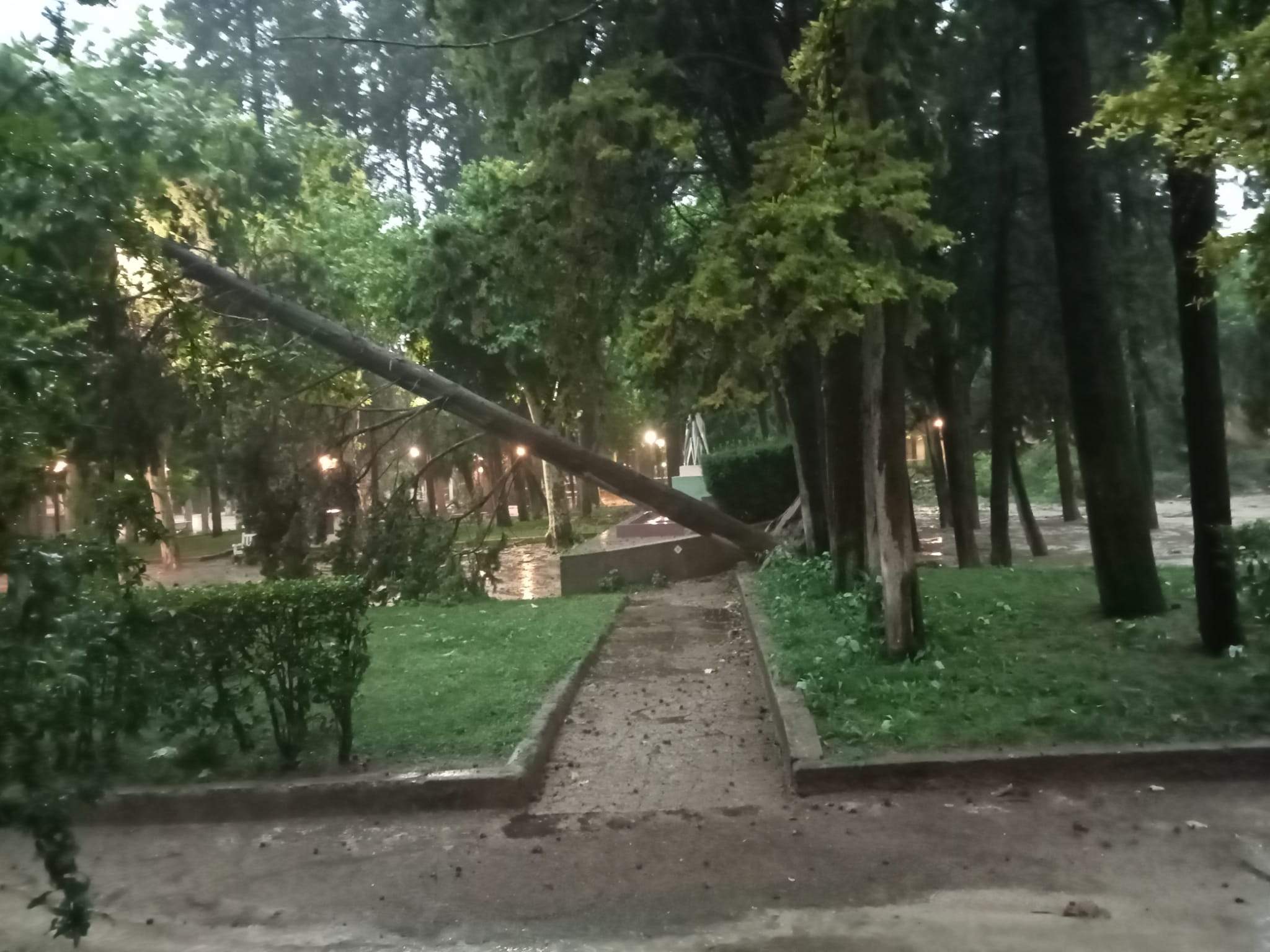 Efectos de la tormenta acompañada de fuerte viento que se ha registrado en Huesca.