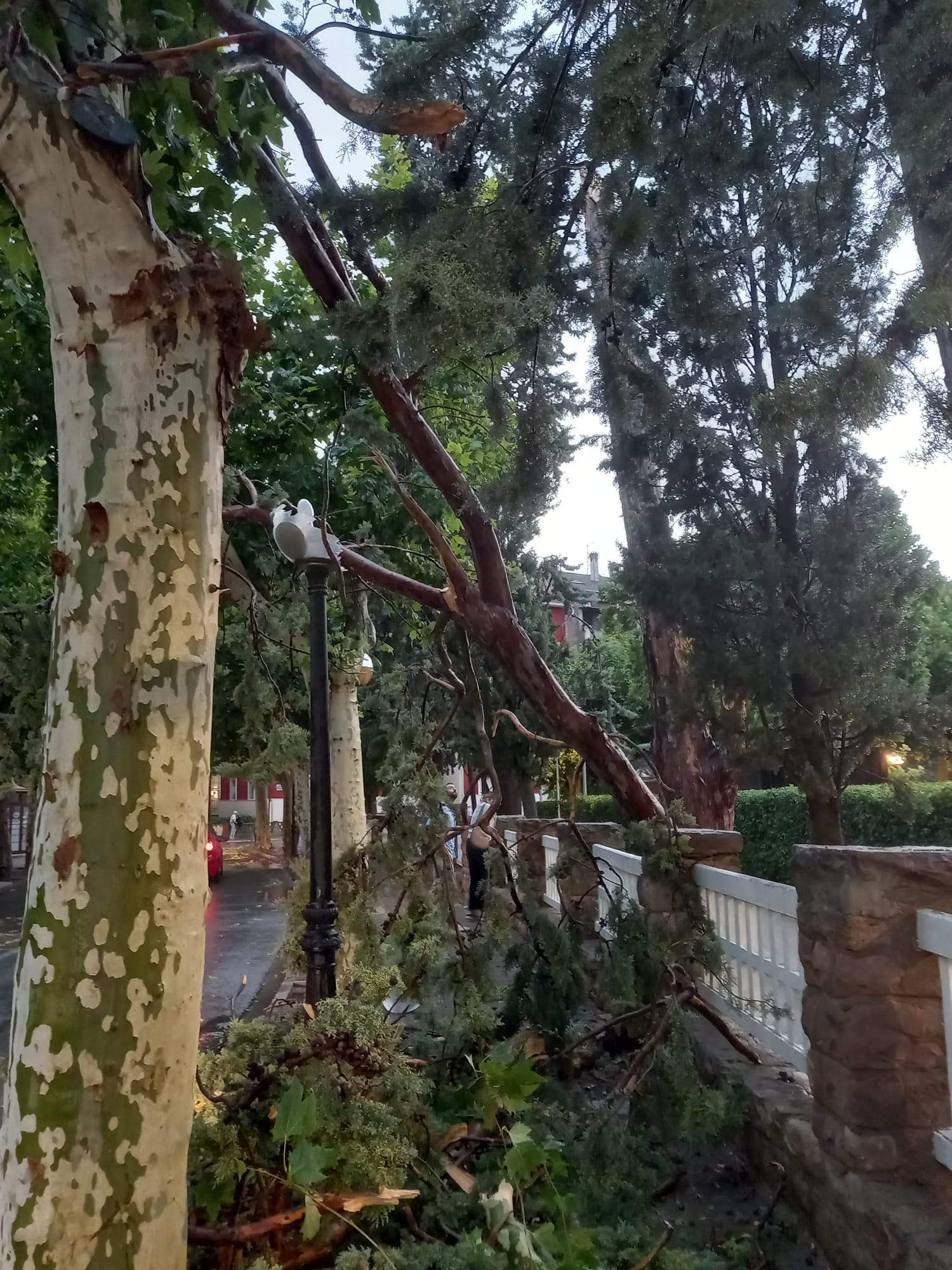 Efectos de la tormenta acompañada de fuerte viento que se ha registrado en Huesca.