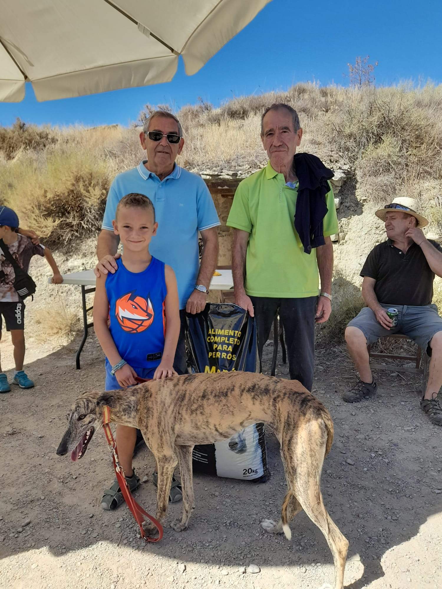Carrera de galgos en Almudévar
