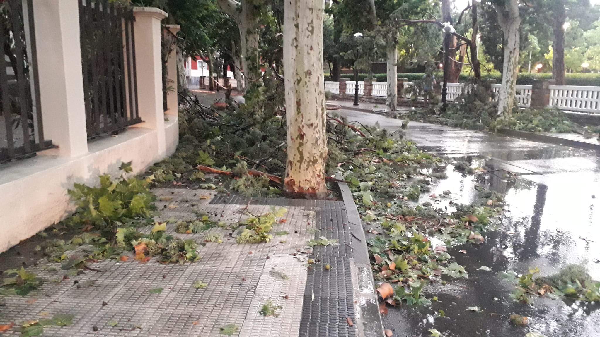 Efectos de la tormenta acompañada de fuerte viento que se ha registrado en Huesca.