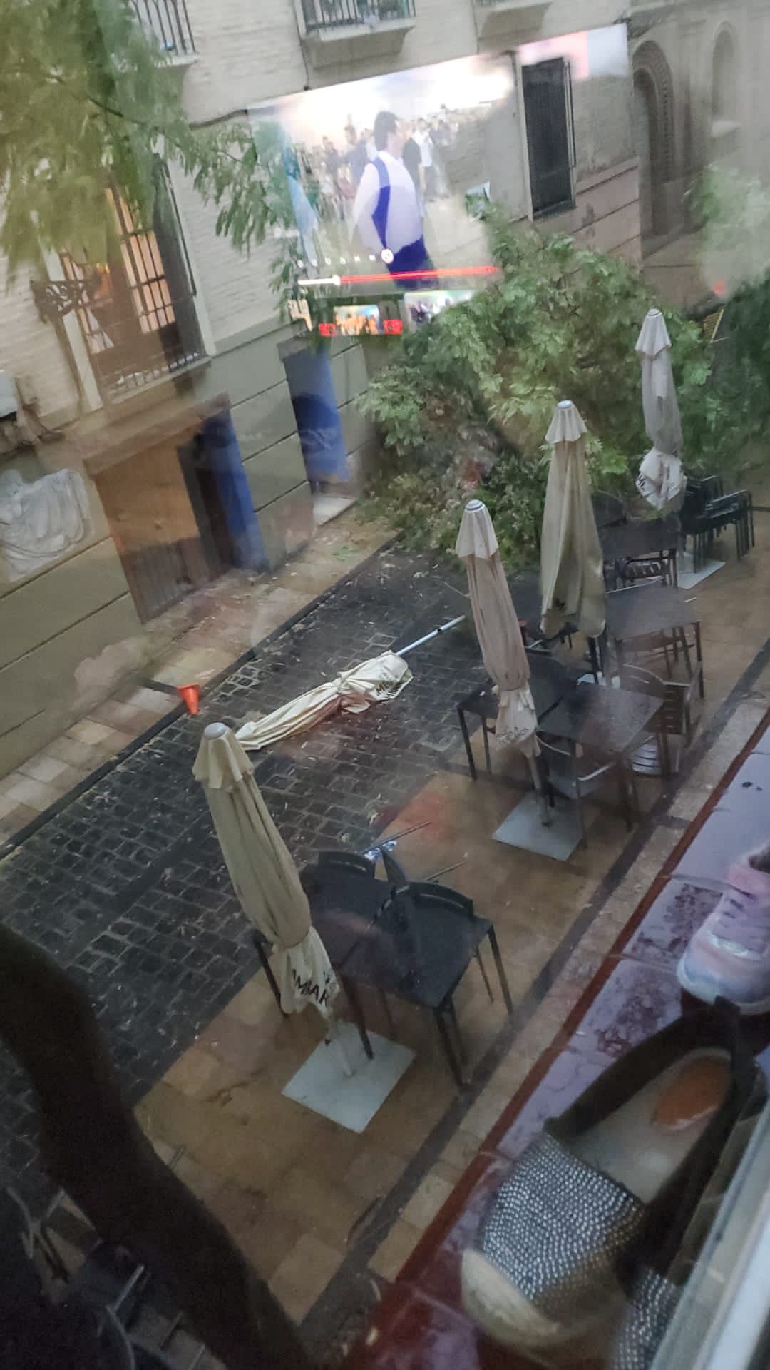 Efectos de la tormenta acompañada de fuerte viento que se ha registrado en Huesca.