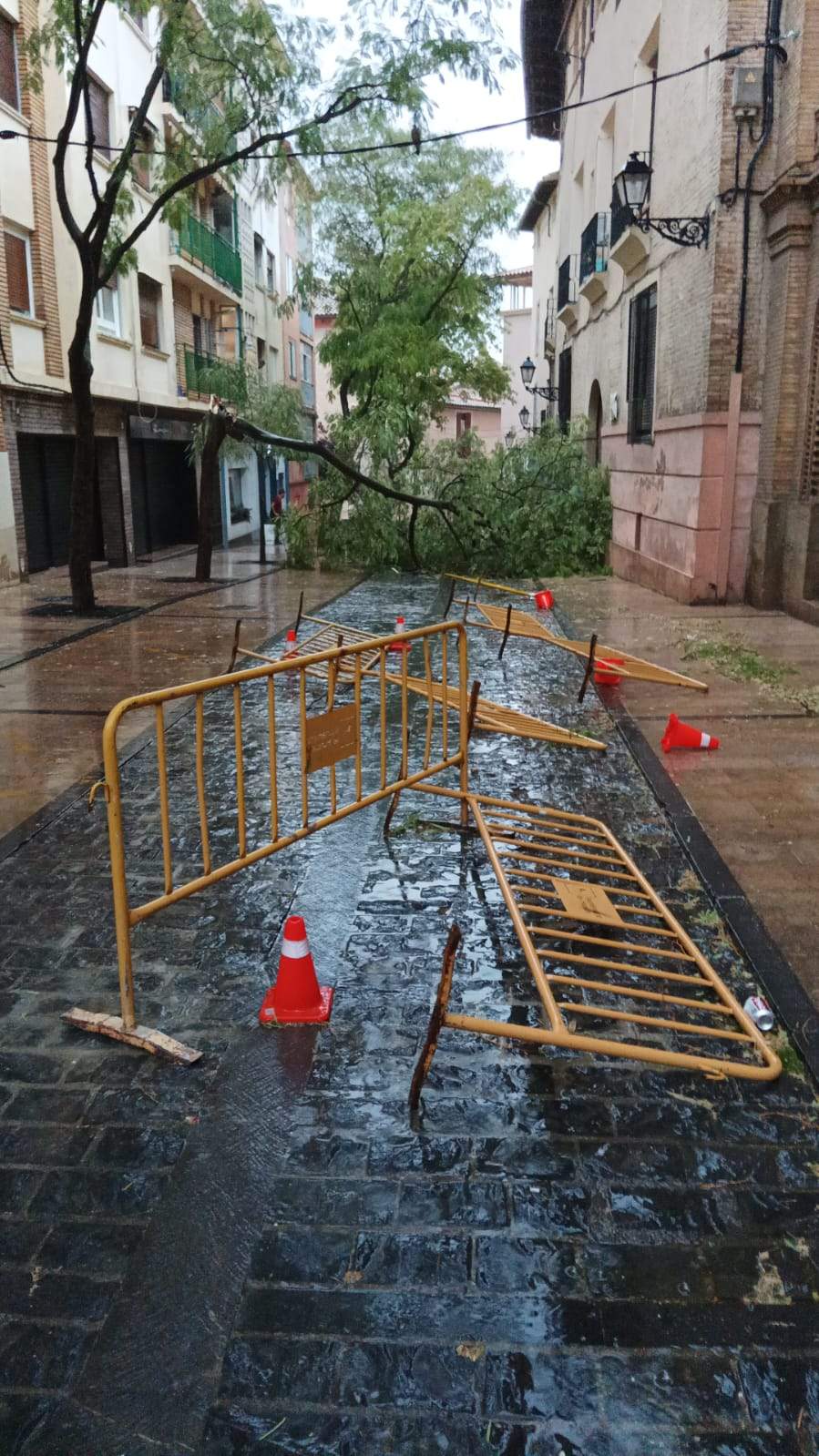 Efectos de la tormenta acompañada de fuerte viento que se ha registrado en Huesca.