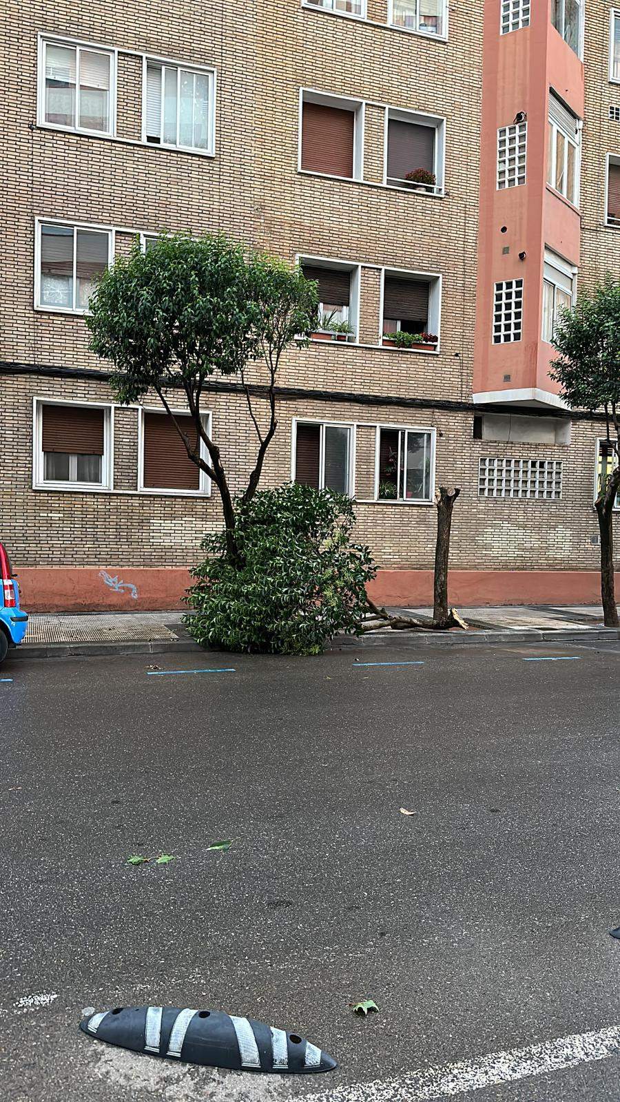 Efectos de la tormenta acompañada de fuerte viento que se ha registrado en Huesca.