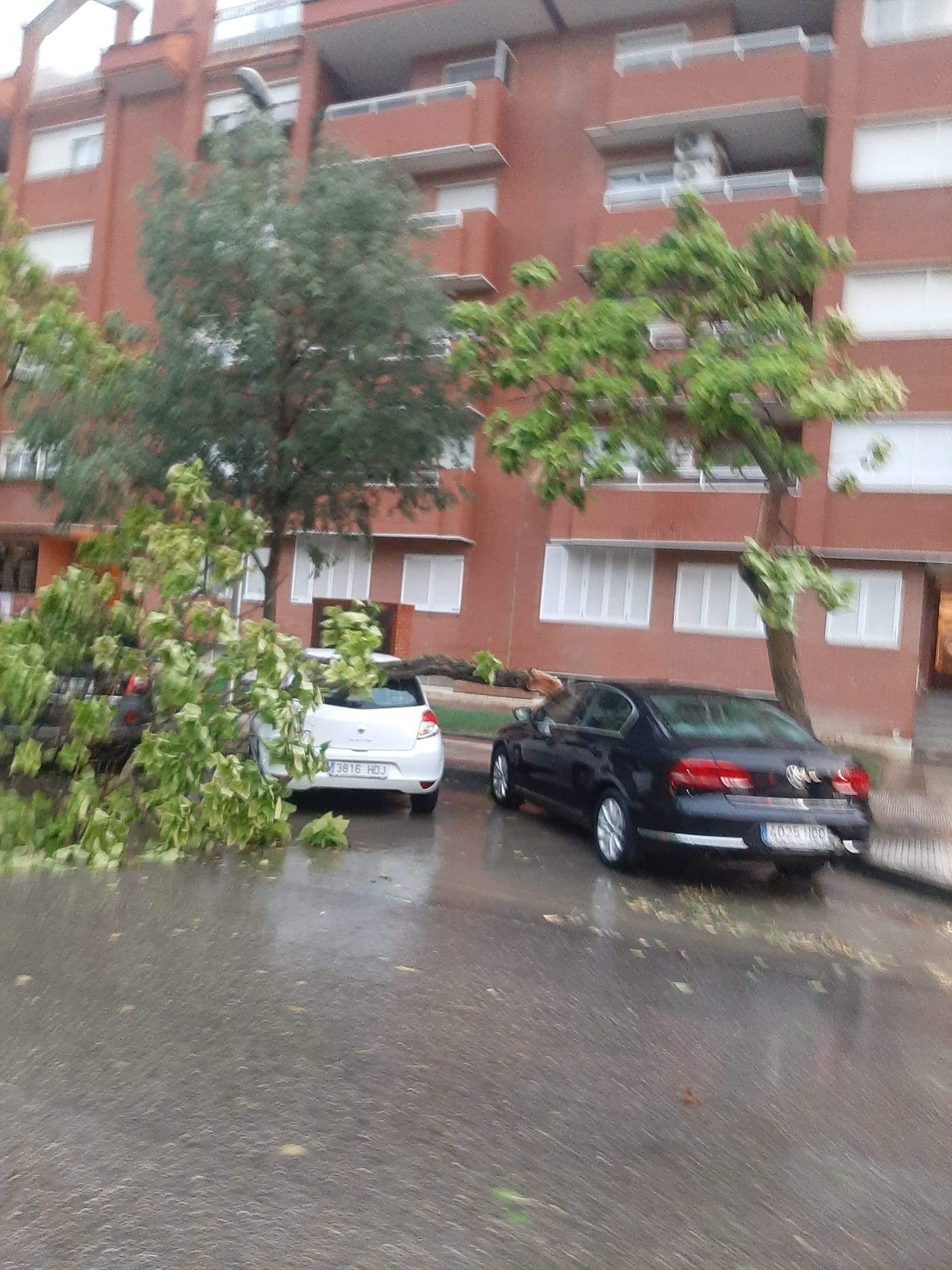 Efectos de la tormenta acompañada de fuerte viento que se ha registrado en Huesca.