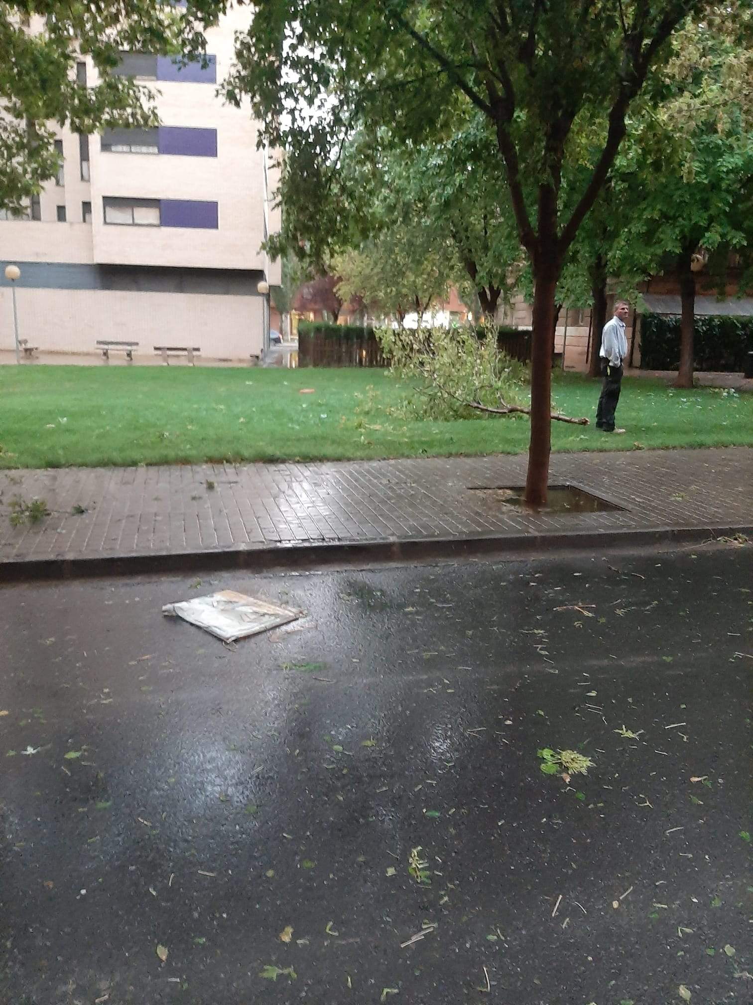 Efectos de la tormenta acompañada de fuerte viento que se ha registrado en Huesca.