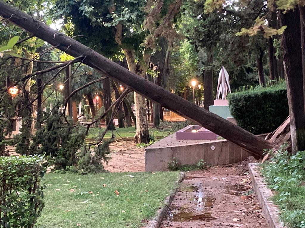 Efectos de la tormenta acompañada de fuerte viento que se ha registrado en Huesca.
