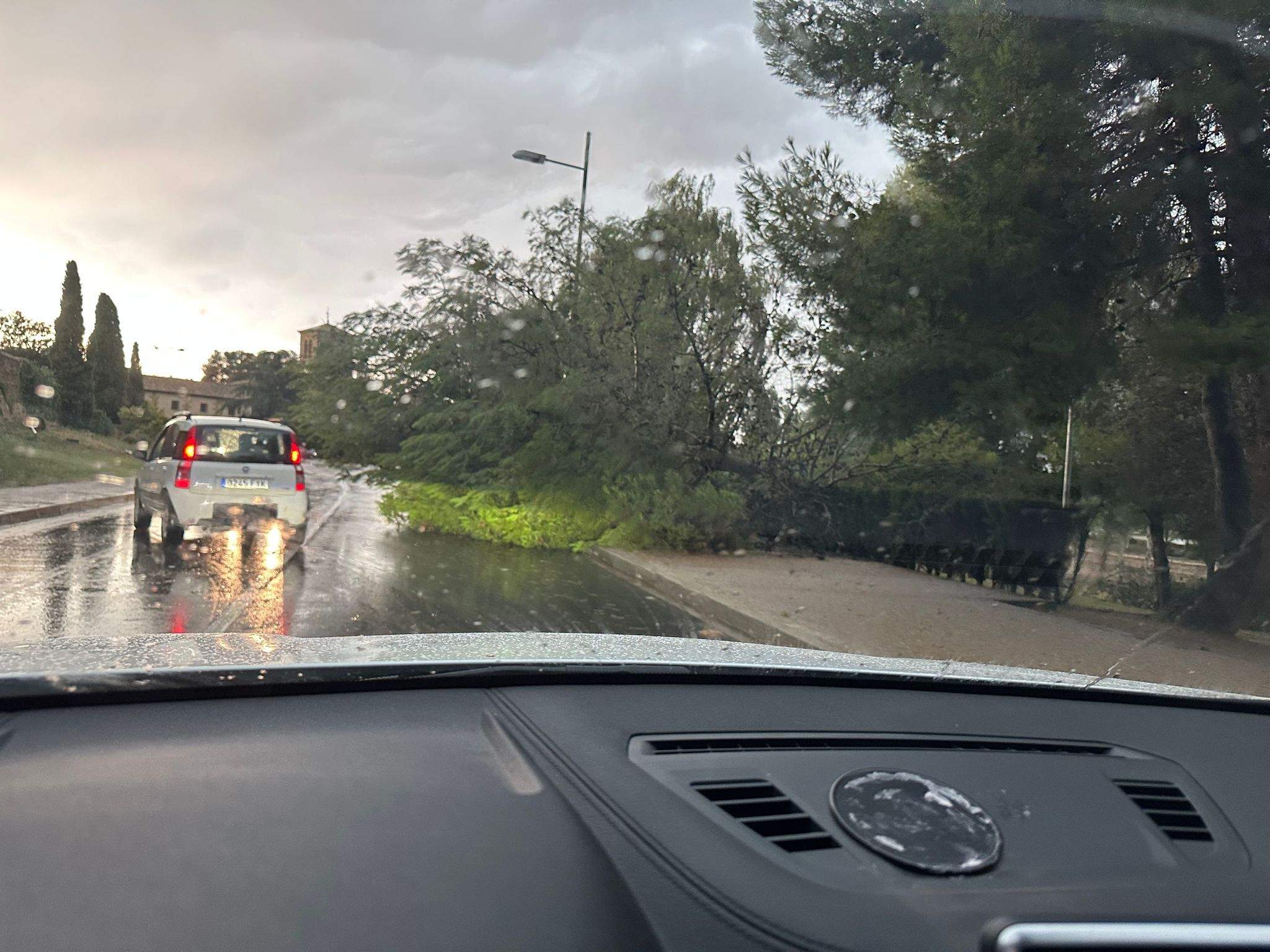 Efectos de la tormenta acompañada de fuerte viento que se ha registrado en Huesca.