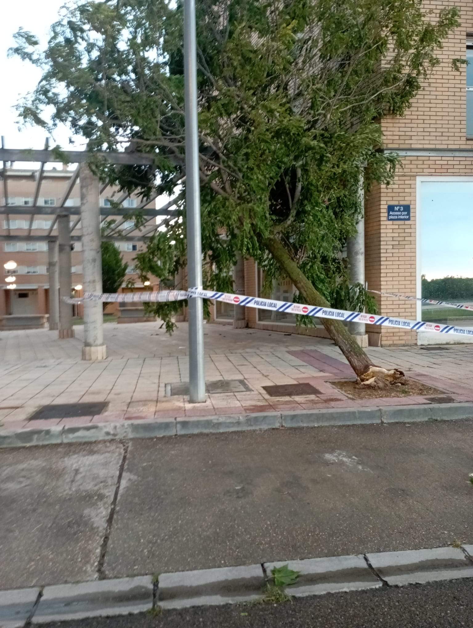 Efectos de la tormenta acompañada de fuerte viento que se ha registrado en Huesca.