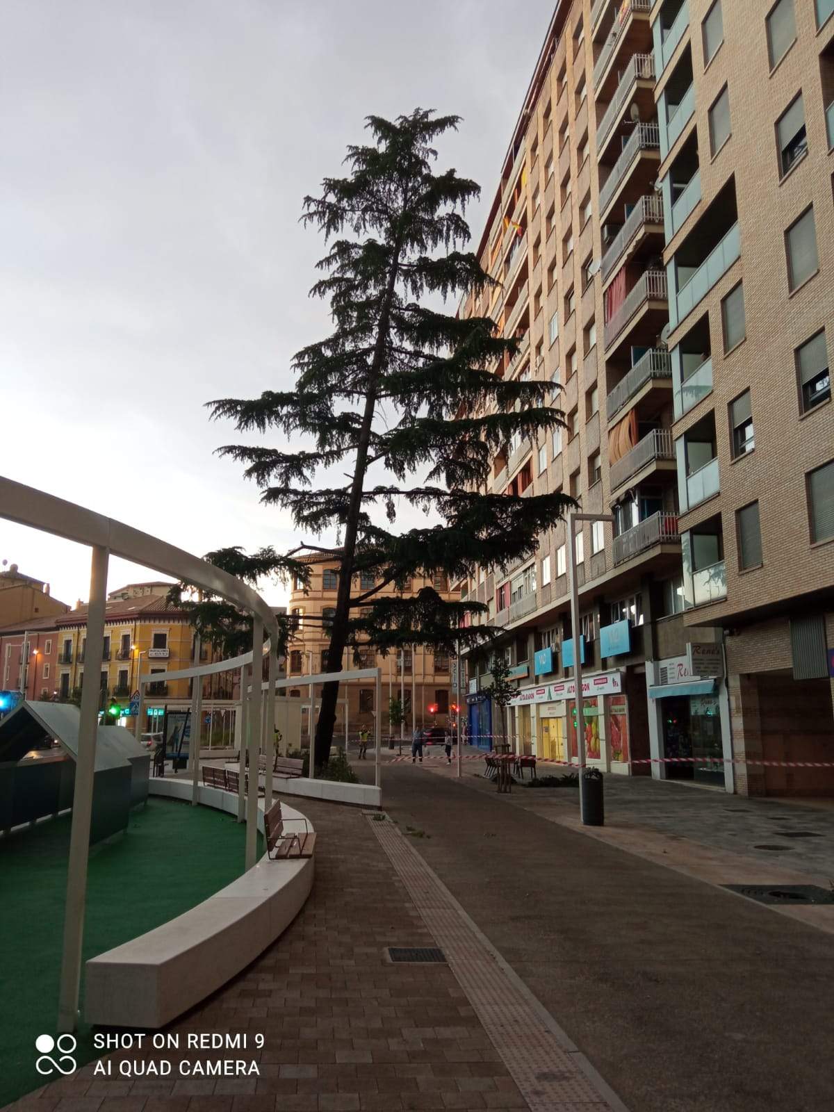Efectos de la tormenta acompañada de fuerte viento que se ha registrado en Huesca.