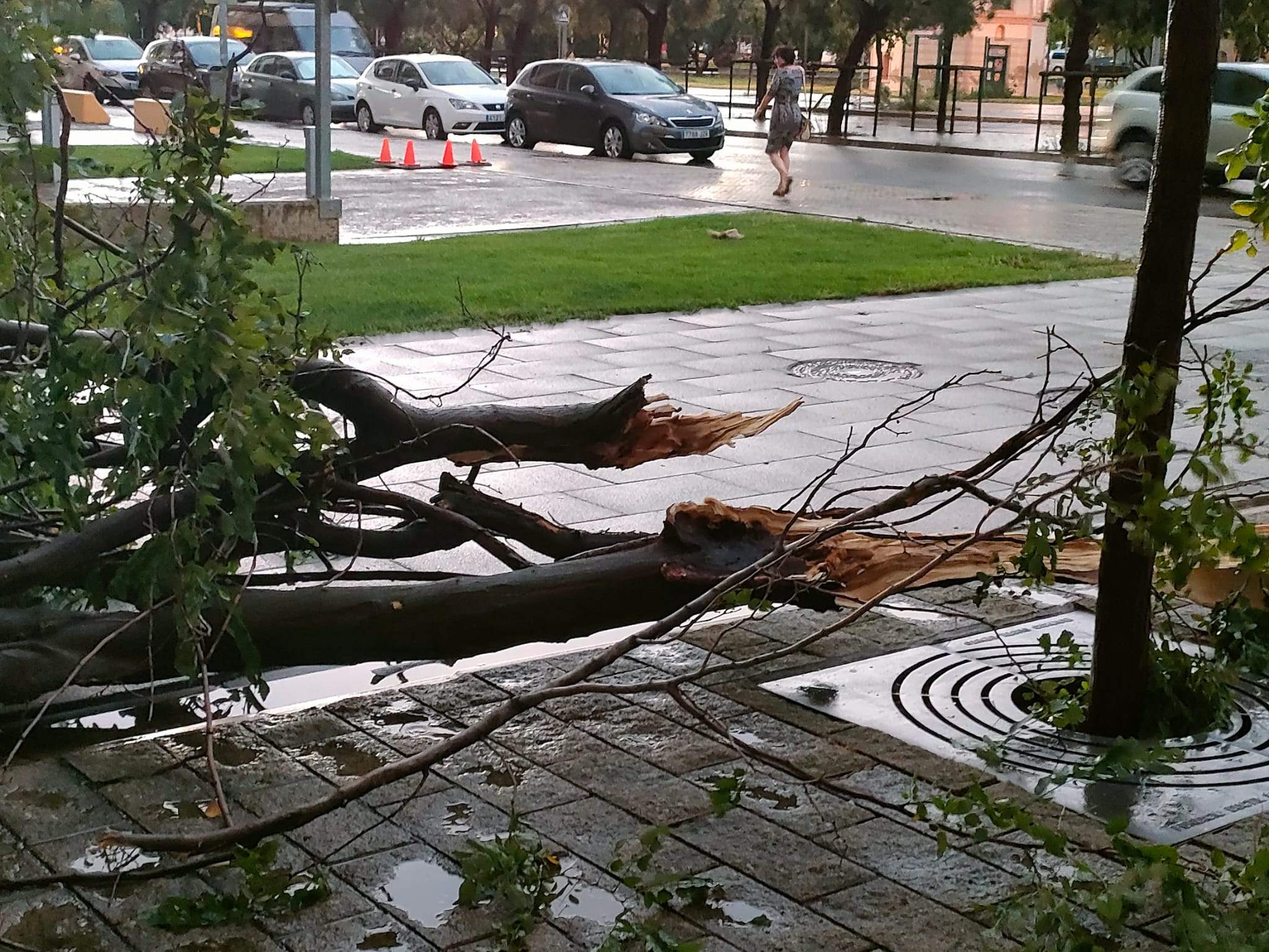 Efectos de la tormenta acompañada de fuerte viento que se ha registrado en Huesca.