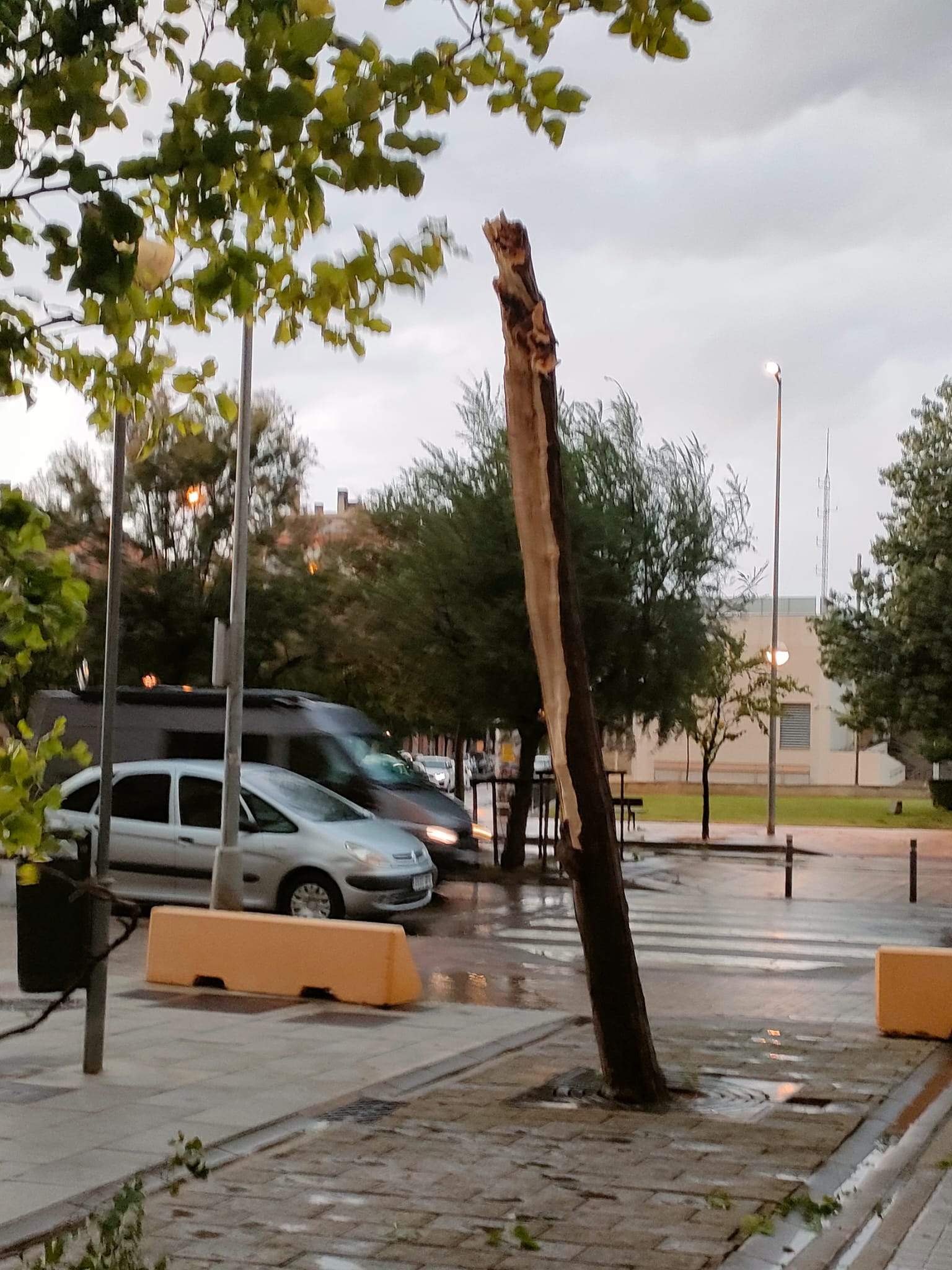 Efectos de la tormenta acompañada de fuerte viento que se ha registrado en Huesca.