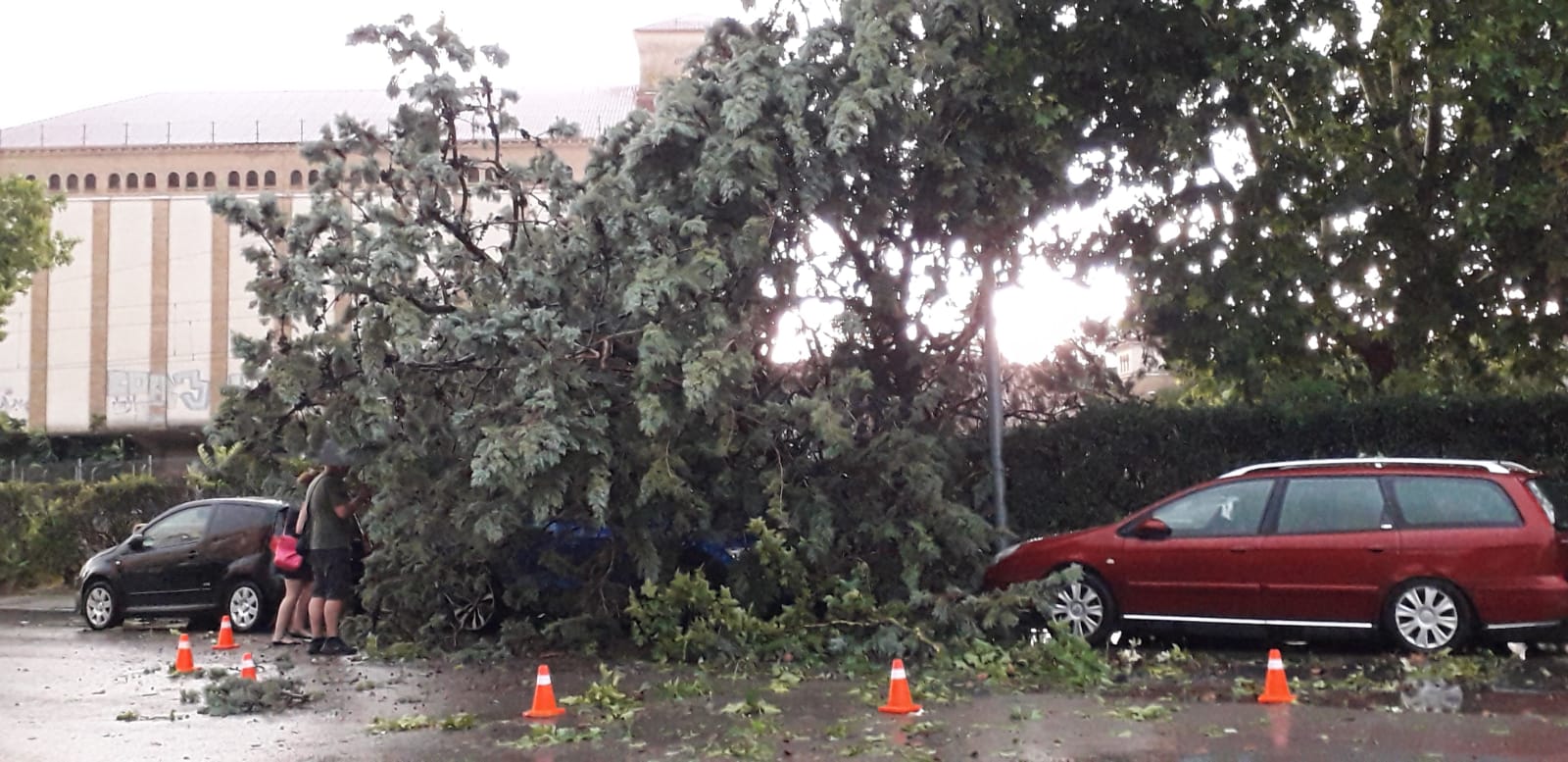 Efectos de la tormenta acompañada de fuerte viento que se ha registrado en Huesca.