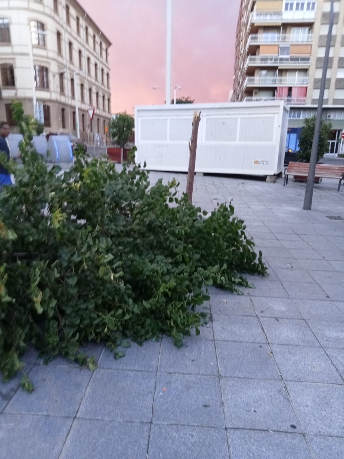 Efectos de la tormenta acompañada de fuerte viento que se ha registrado en Huesca.