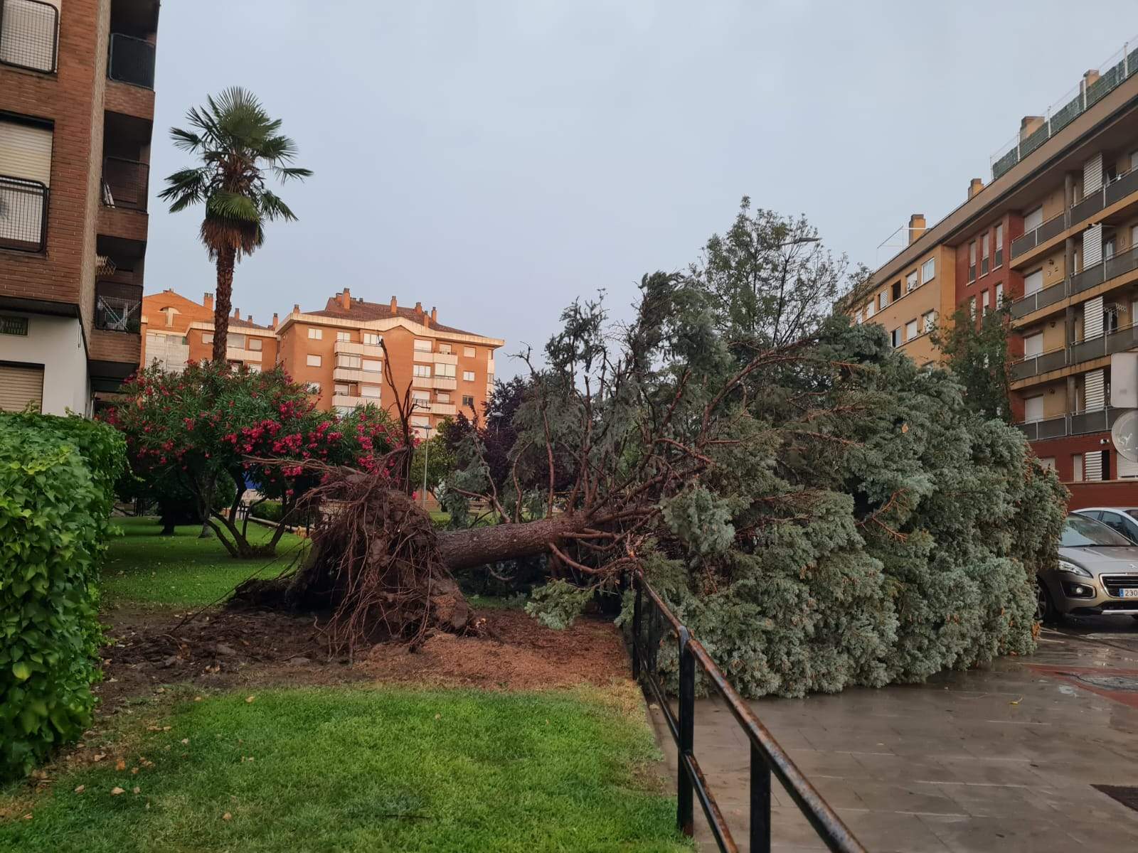 Efectos de la tormenta acompañada de fuerte viento que se ha registrado en Huesca.