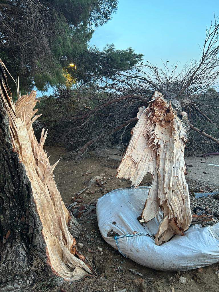 Efectos de la tormenta acompañada de fuerte viento que se ha registrado en Huesca.